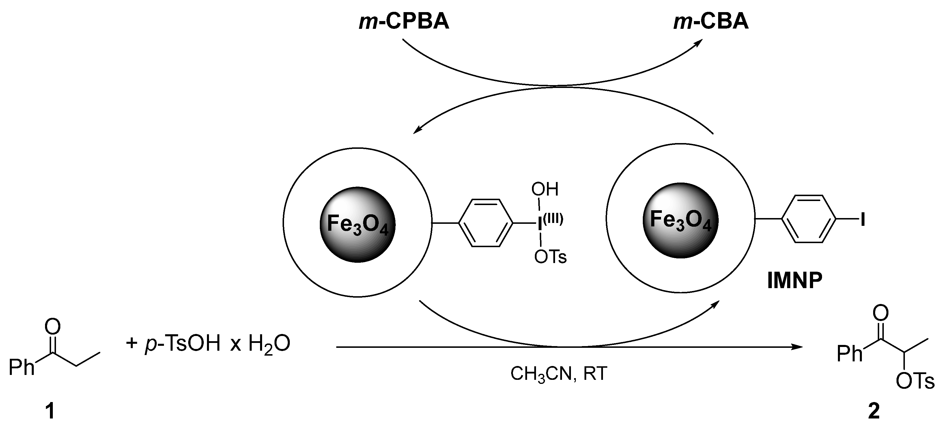 Catalysts 14 00677 sch002