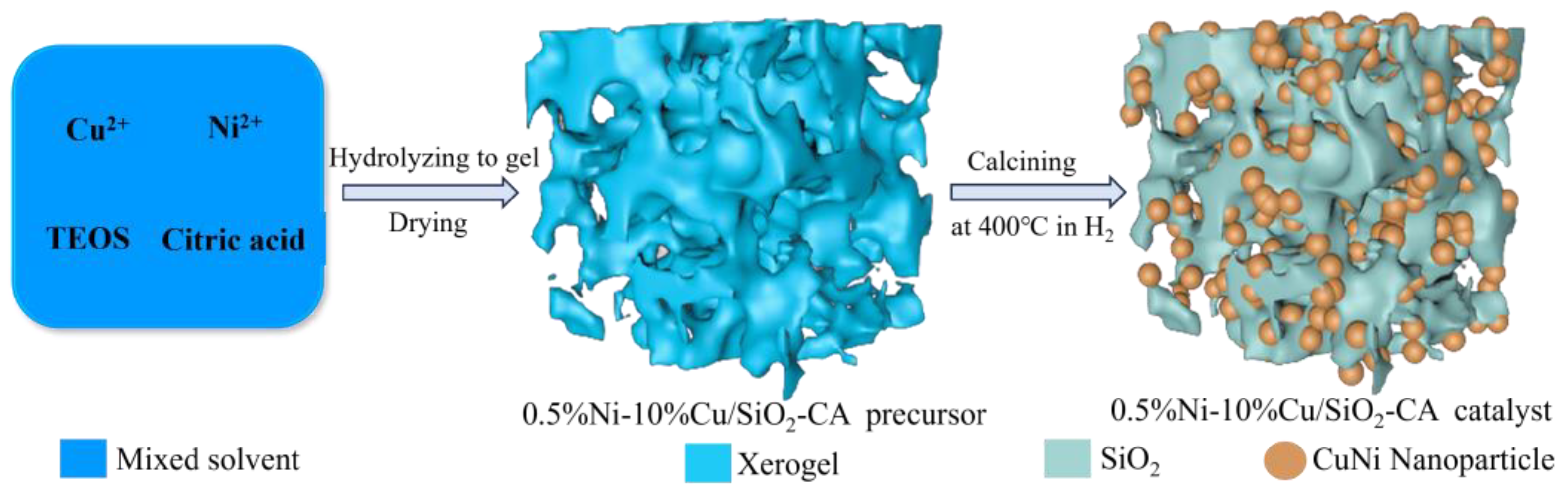 Catalysts 14 00683 g001 Catalysts 14 00683 g001
