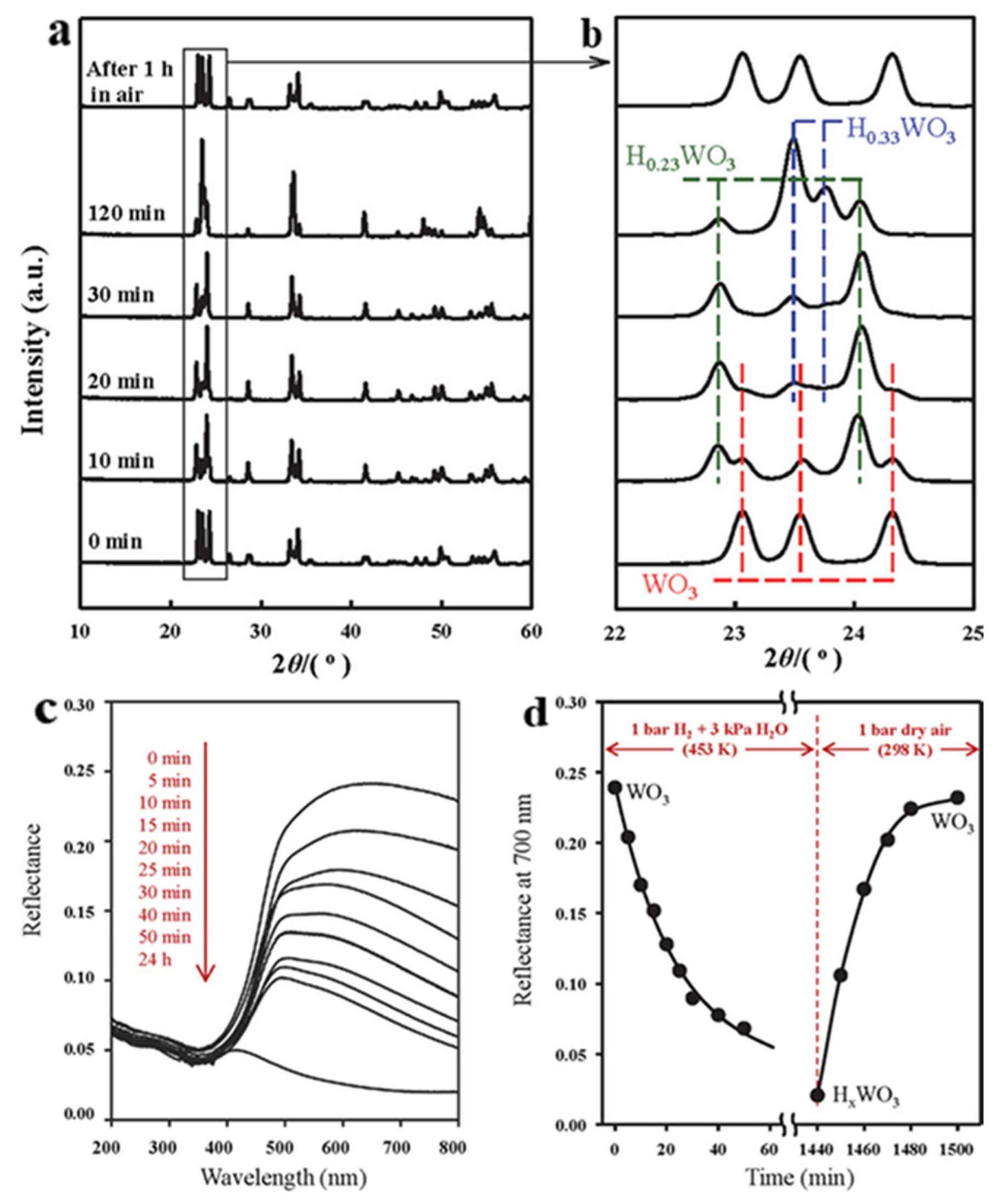 Catalysts 14 00685 g012