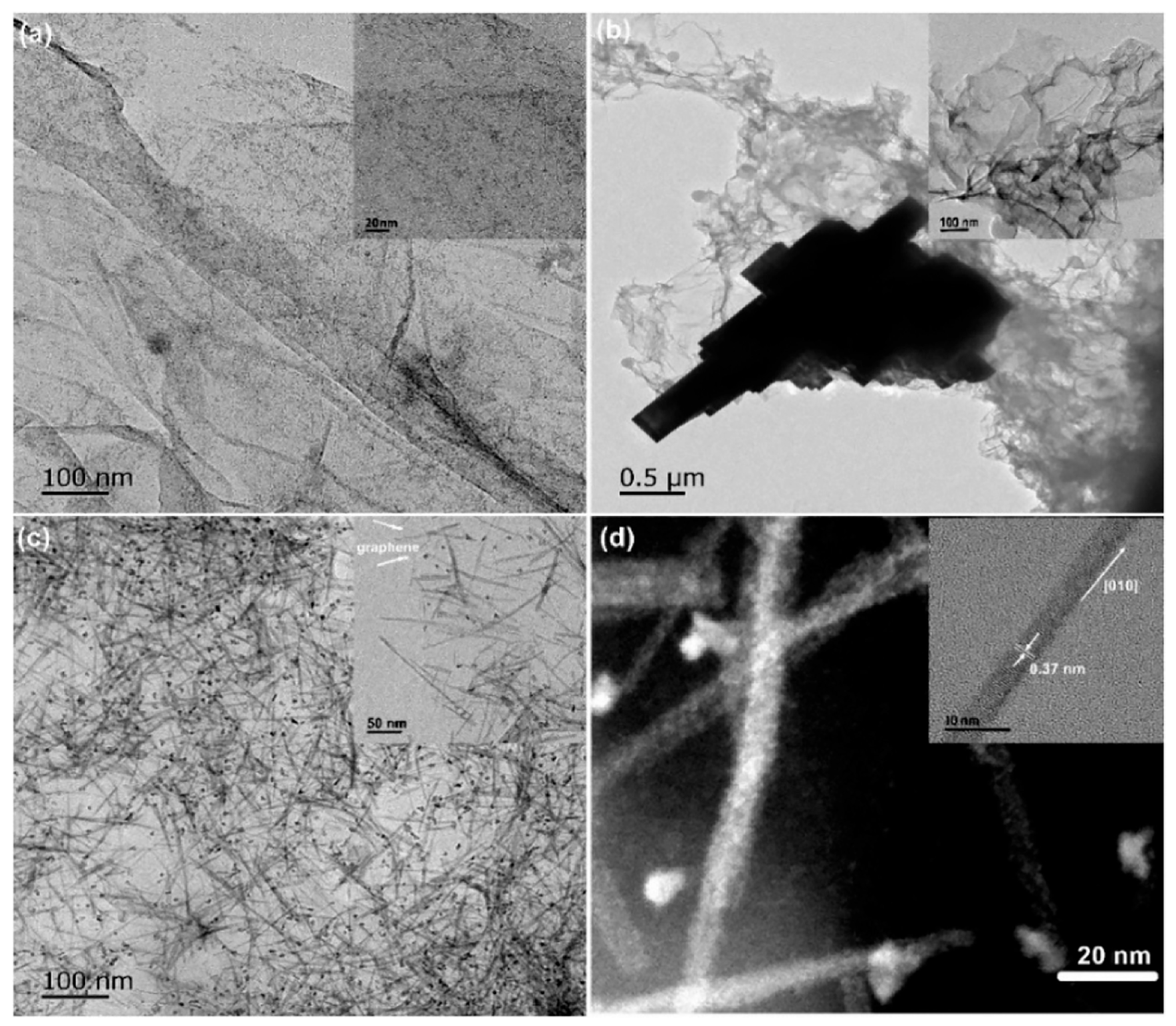 Catalysts 14 00685 g015