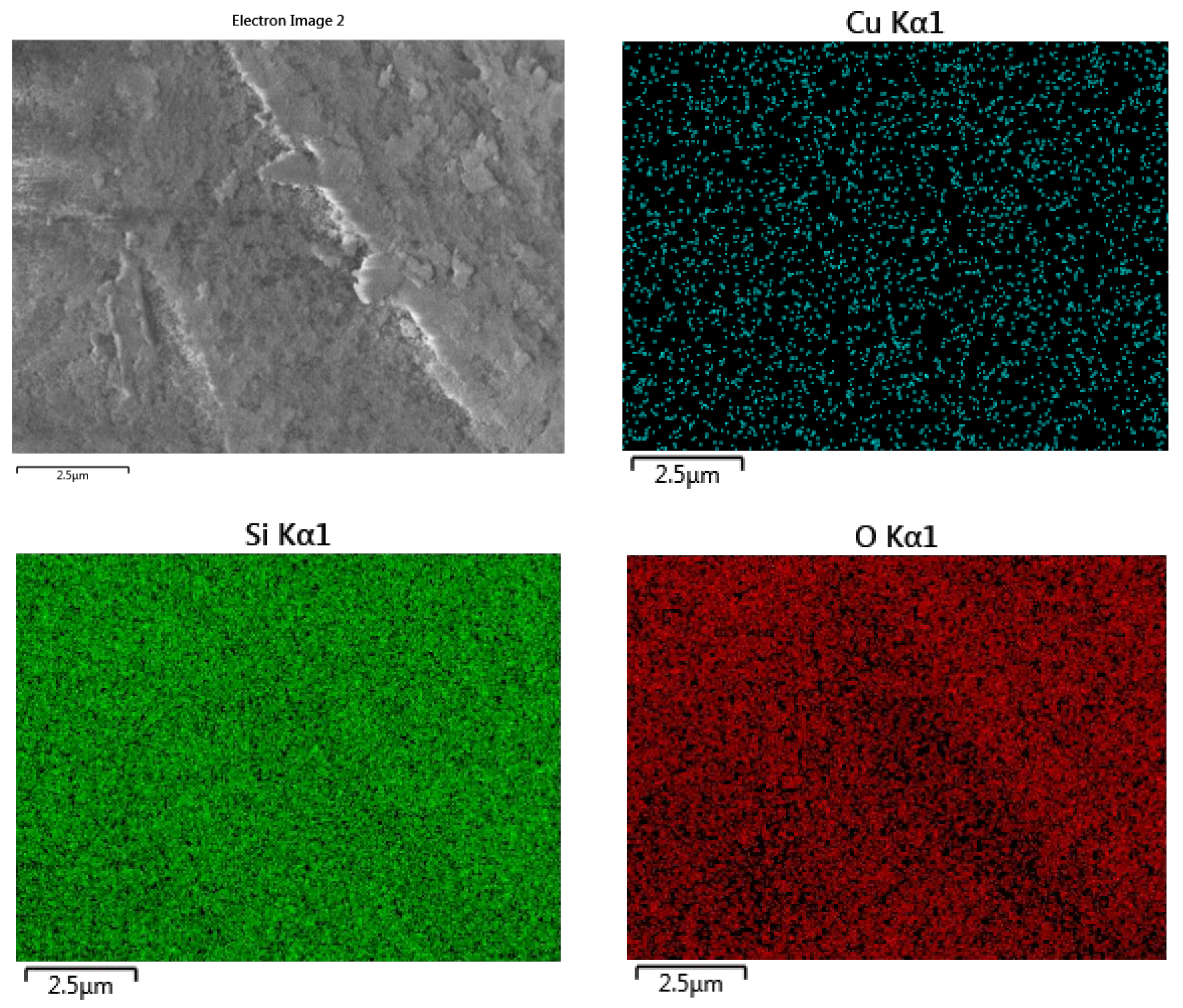 Catalysts 14 00686 g005
