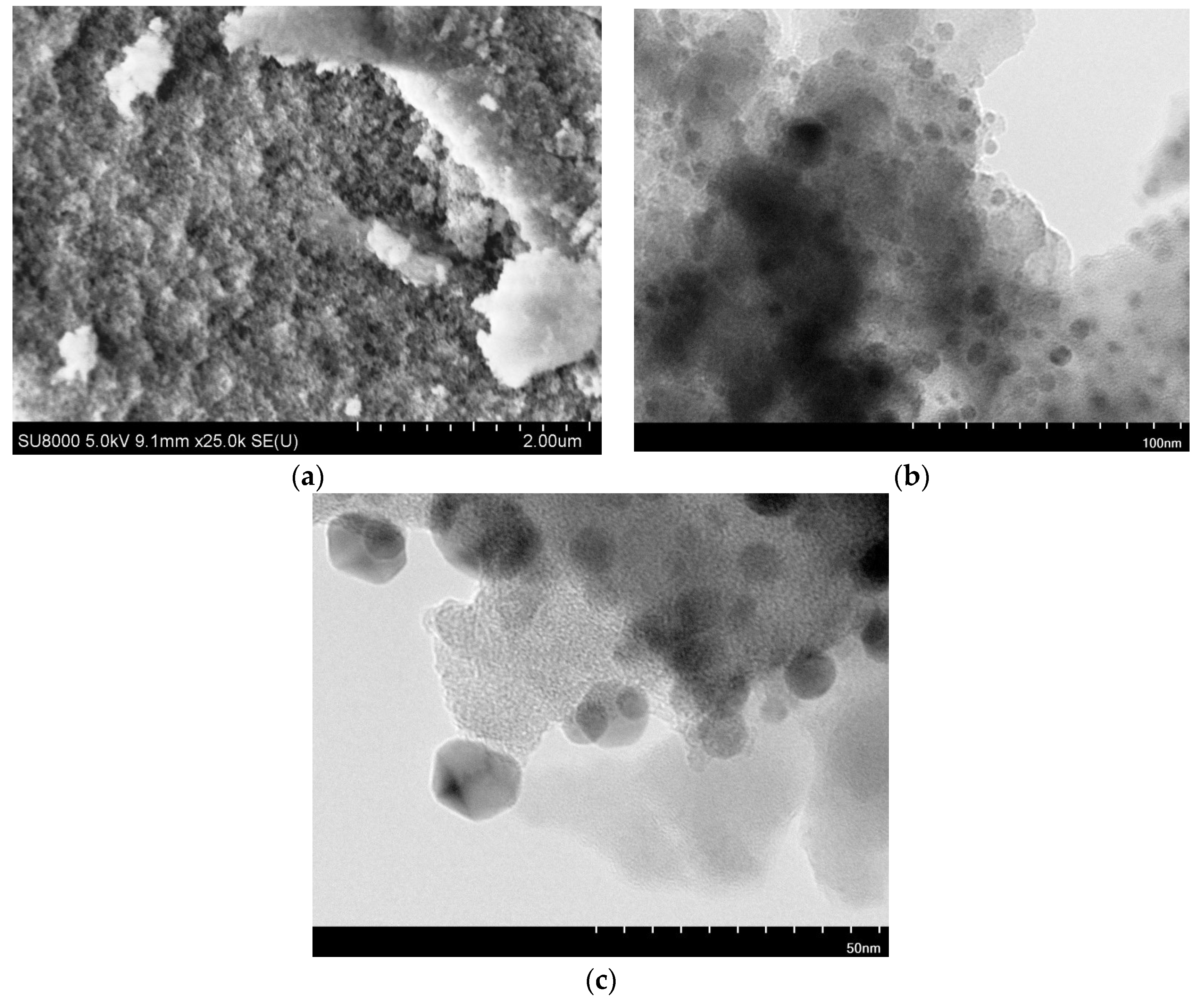 Catalysts 14 00686 g006