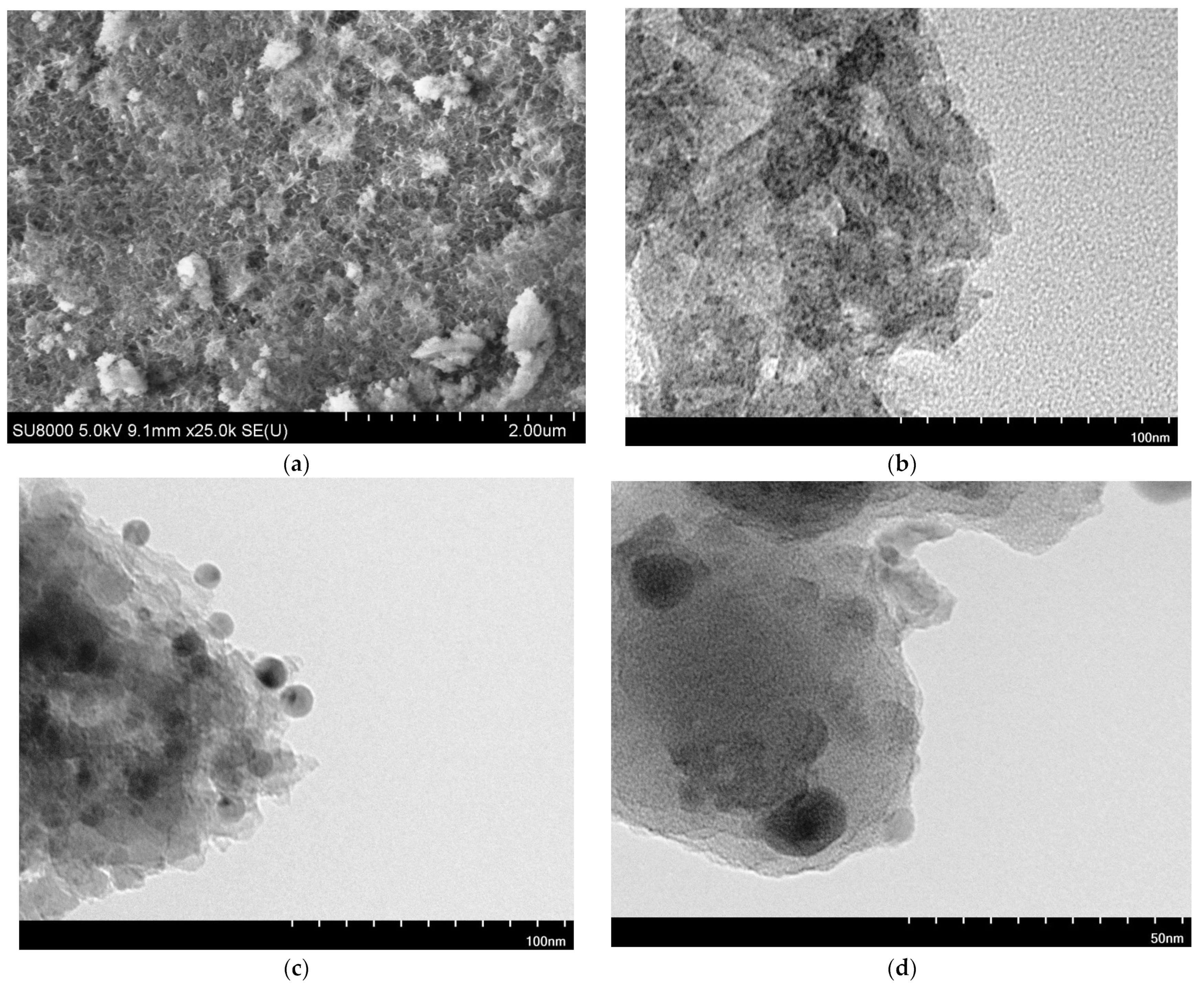 Catalysts 14 00686 g007