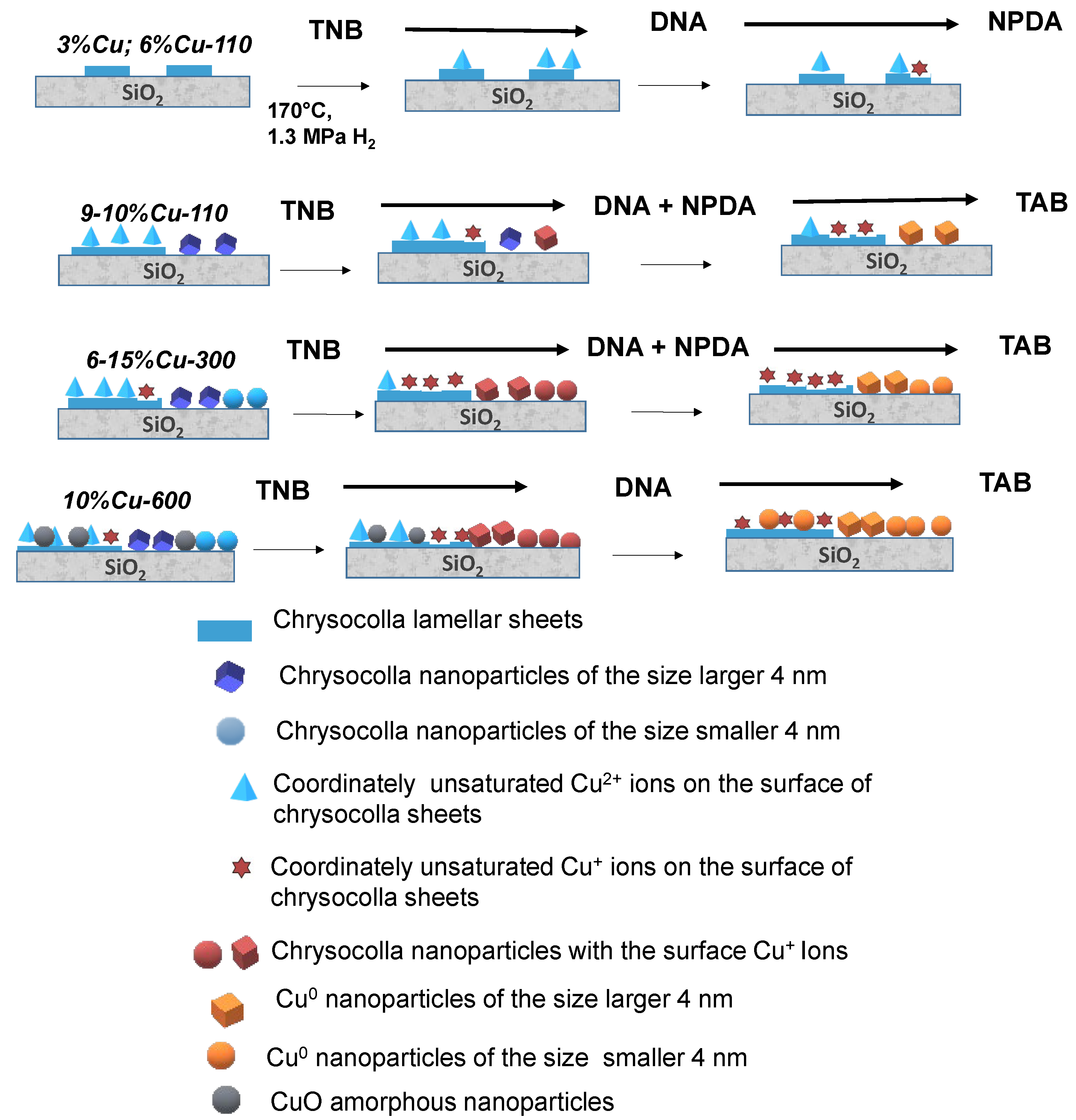 Catalysts 14 00686 g010