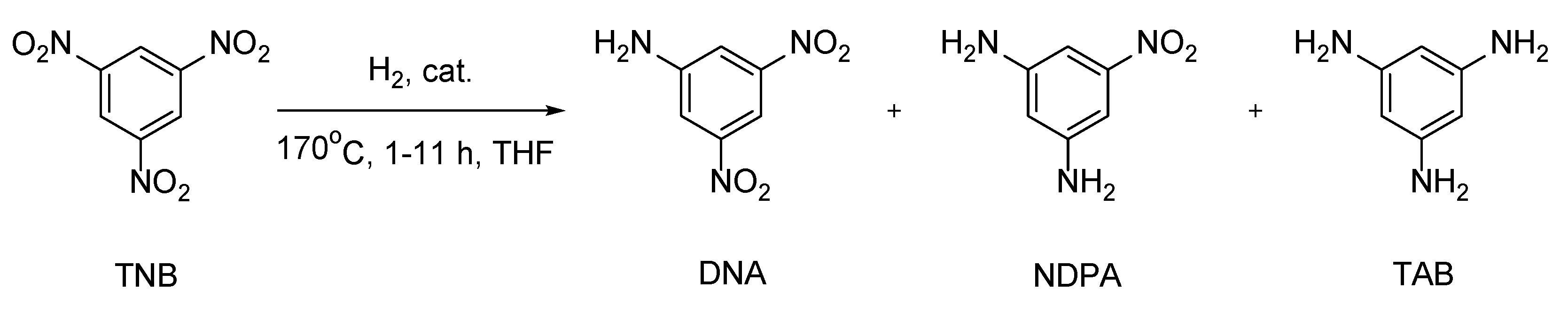 Catalysts 14 00686 g011