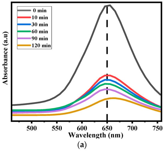 Catalysts 14 00692 g007a Catalysts 14 00692 g007a