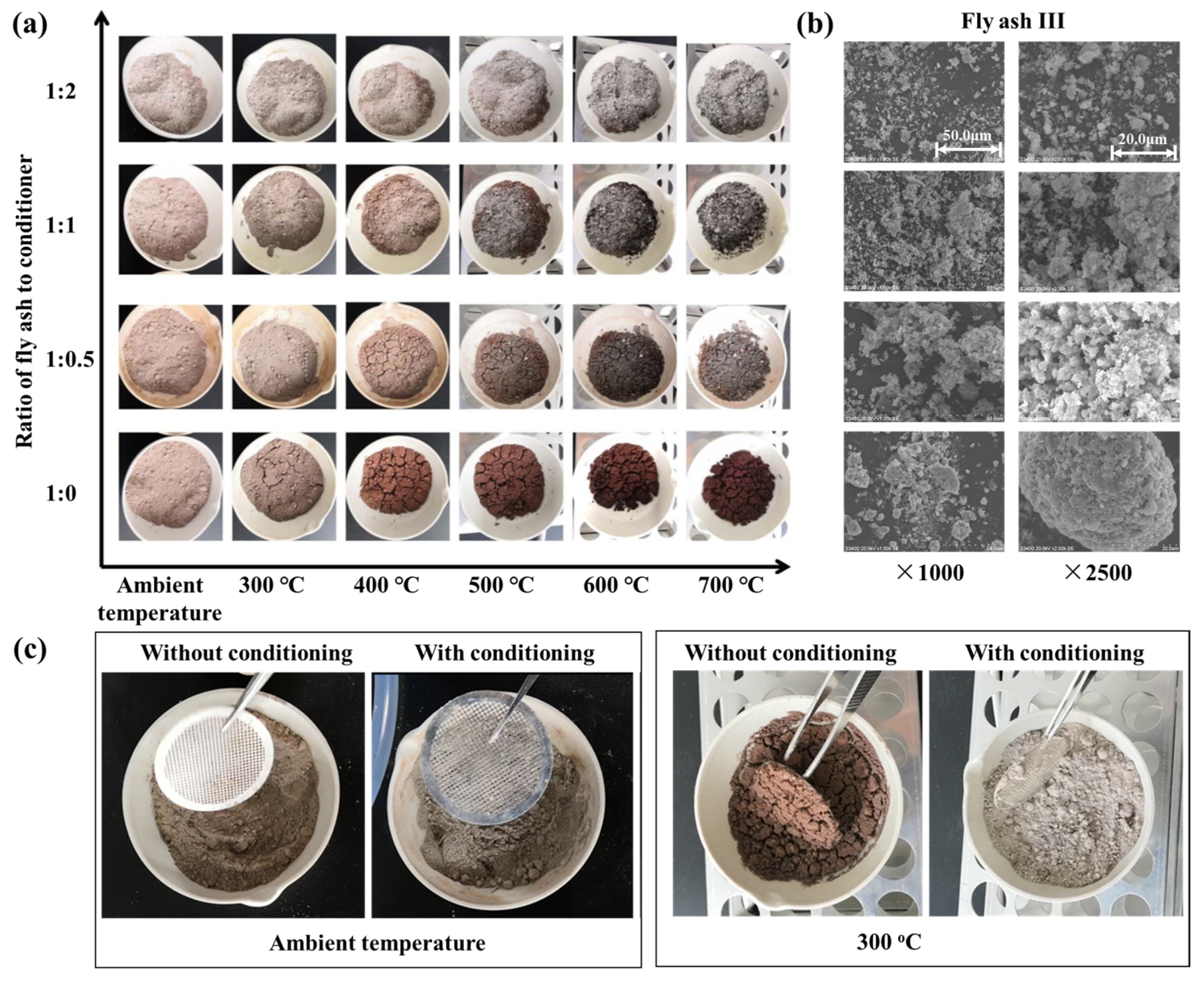 Catalysts 14 00698 g004