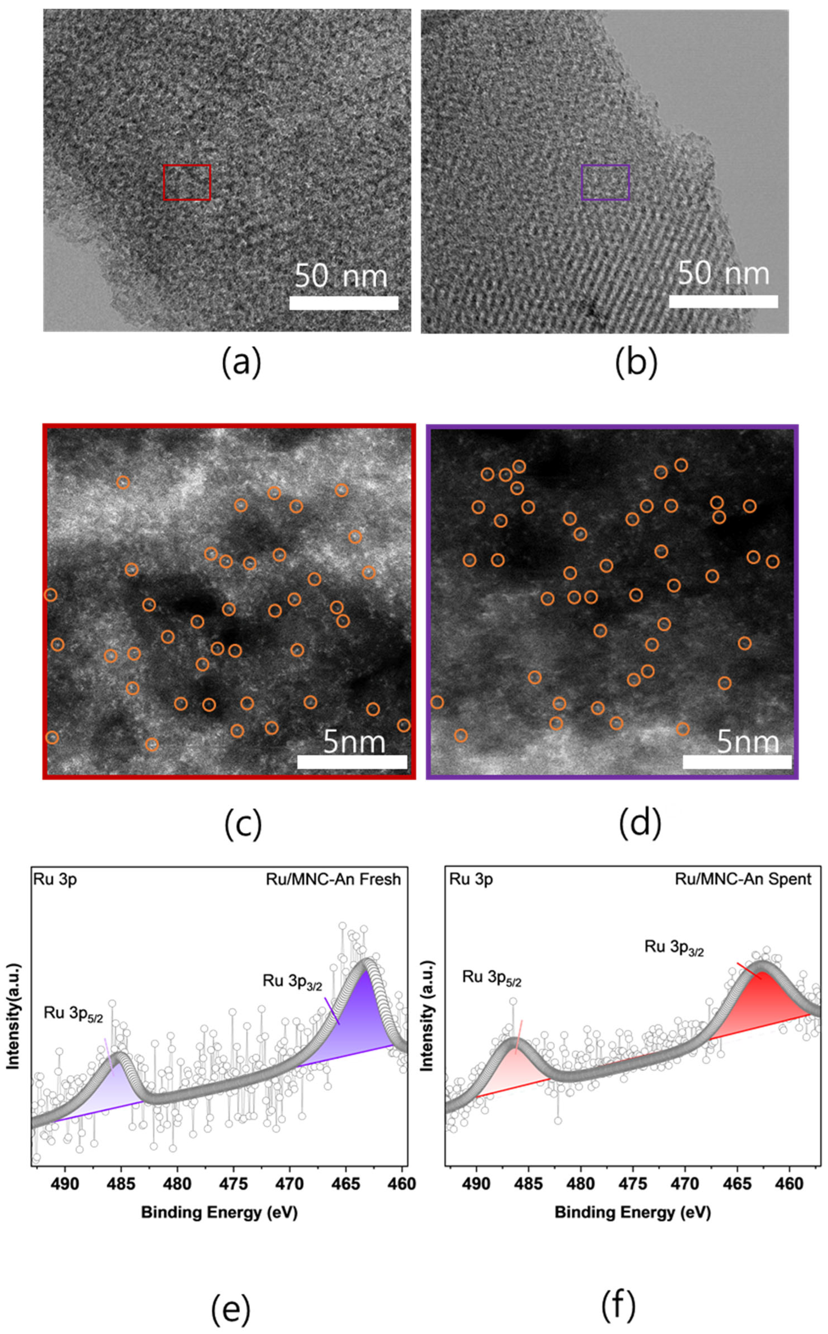 Catalysts 14 00720 g005