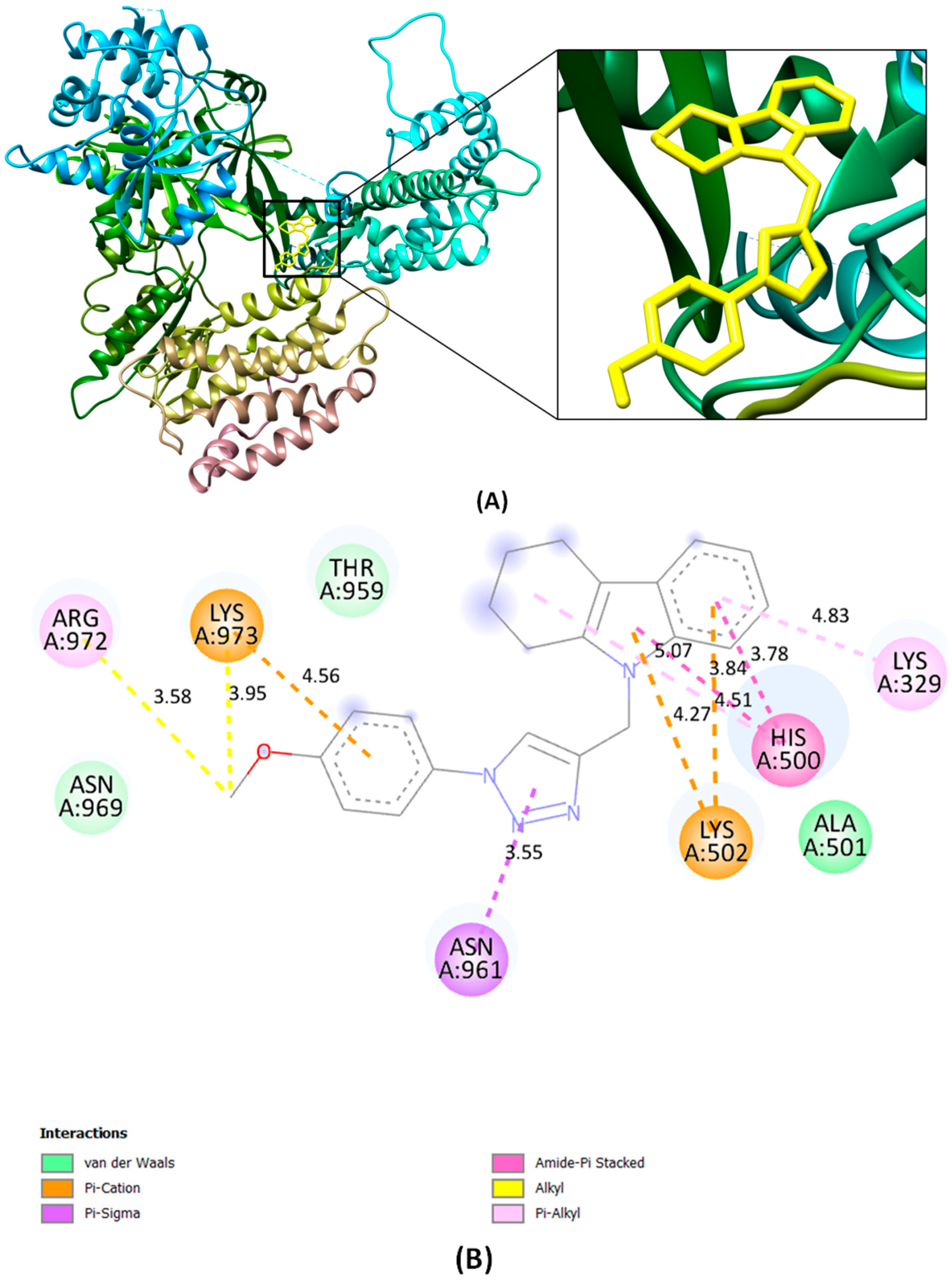 Catalysts 14 00726 g003