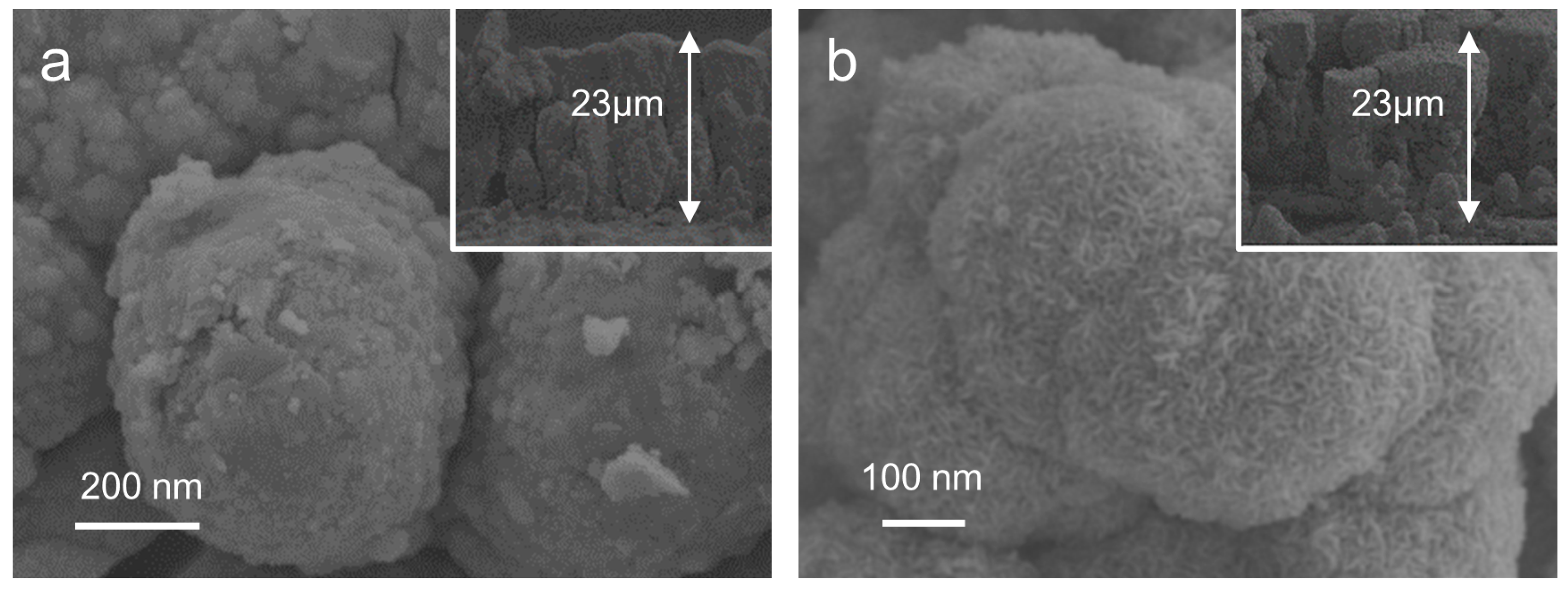 Catalysts 14 00730 g001 Catalysts 14 00730 g001