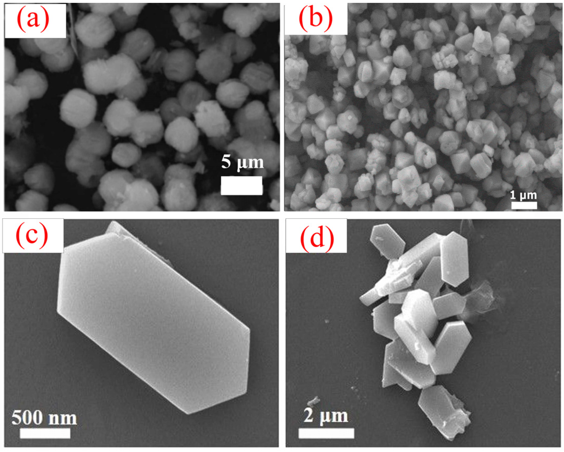 Catalysts 14 00734 g008