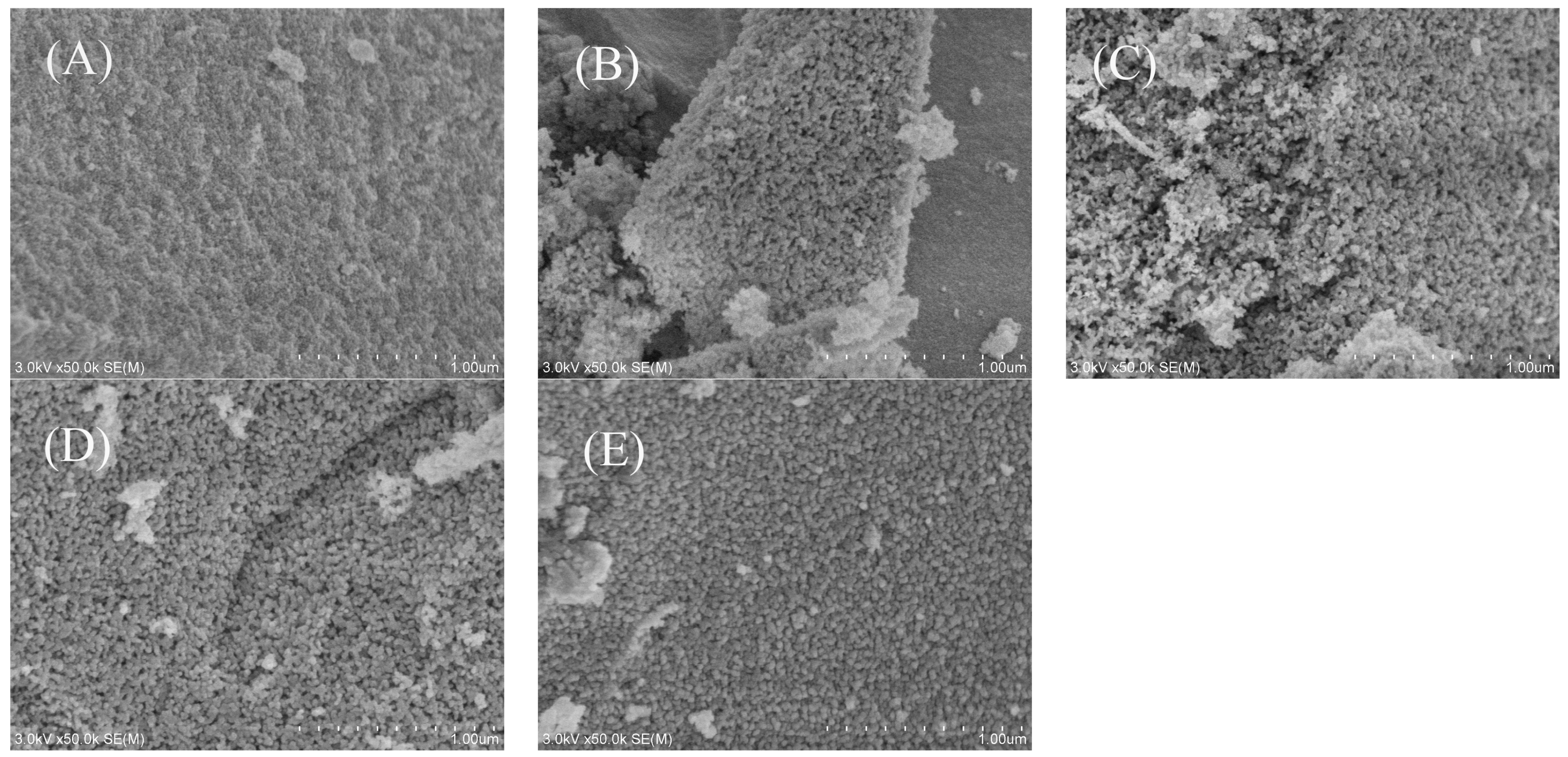 Catalysts 14 00735 g003 Catalysts 14 00735 g003