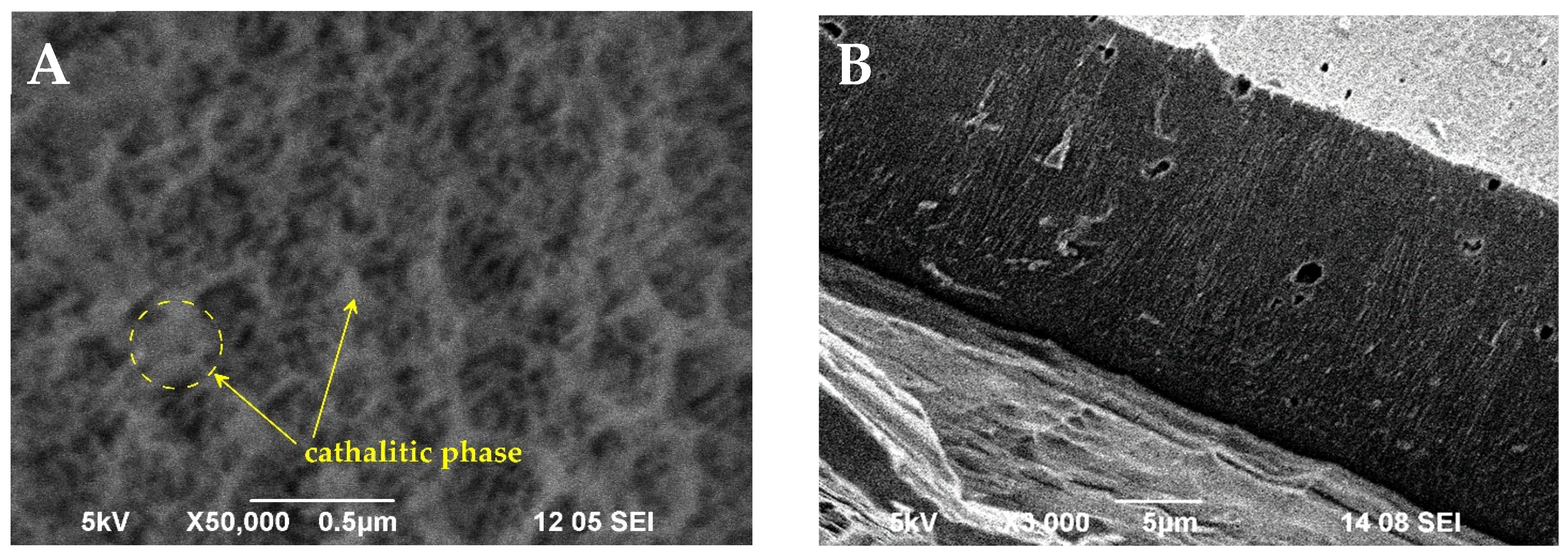 Catalysts 14 00736 g002