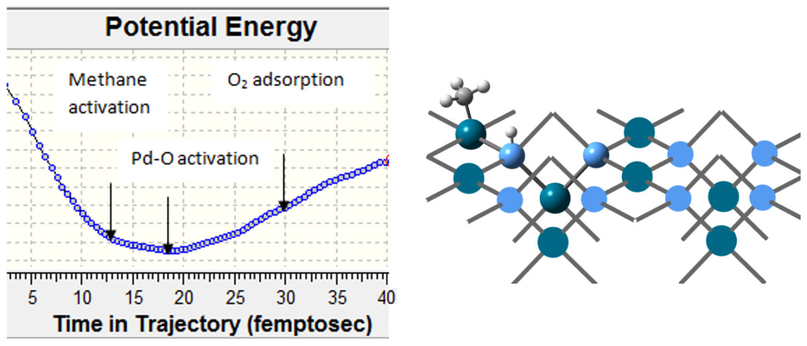 Catalysts 14 00736 g012