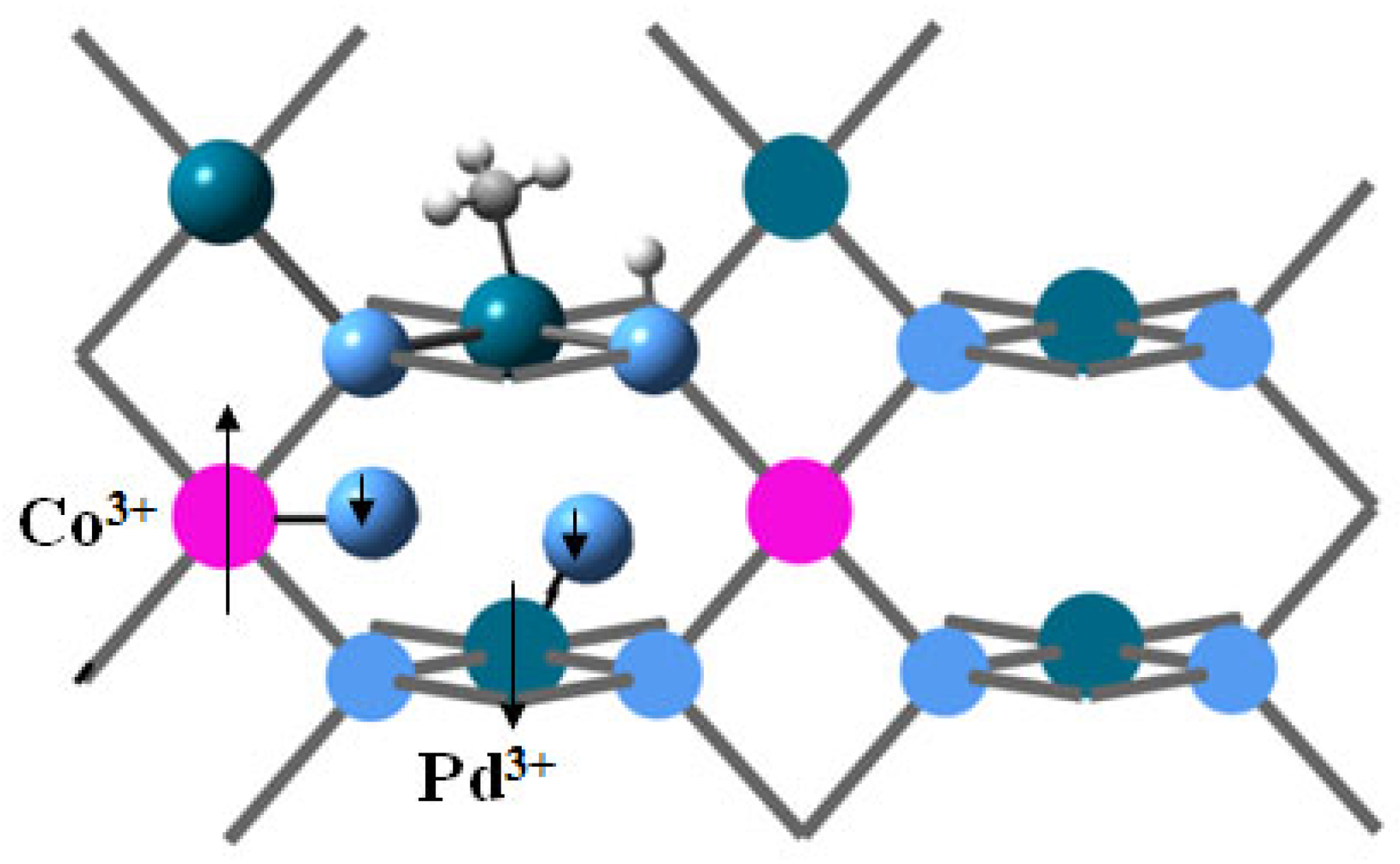 Catalysts 14 00736 g014
