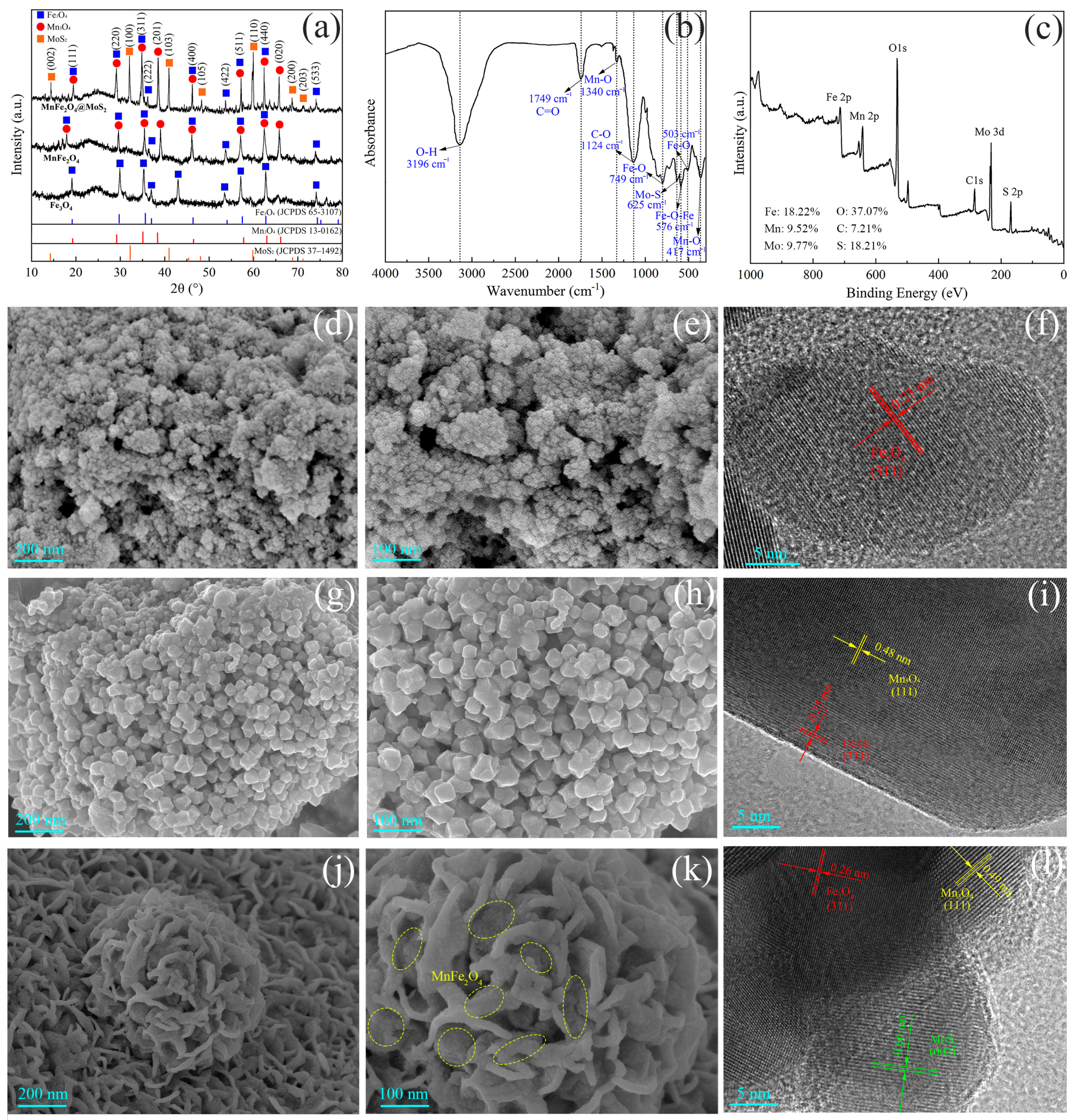 Catalysts 14 00738 g001