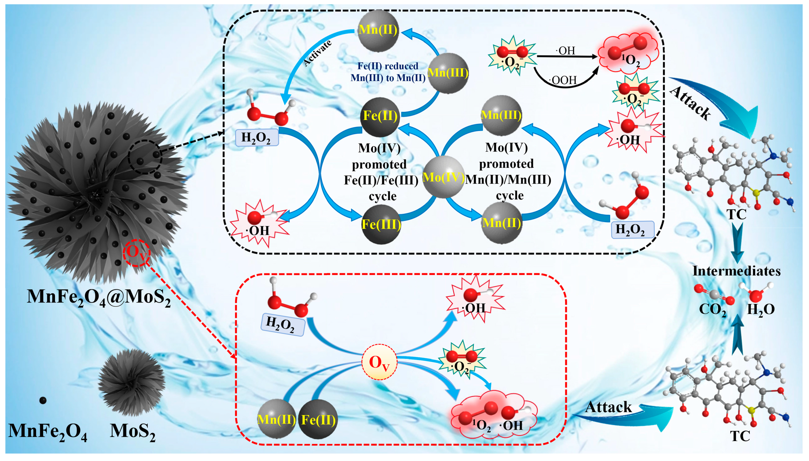 Catalysts 14 00738 g008