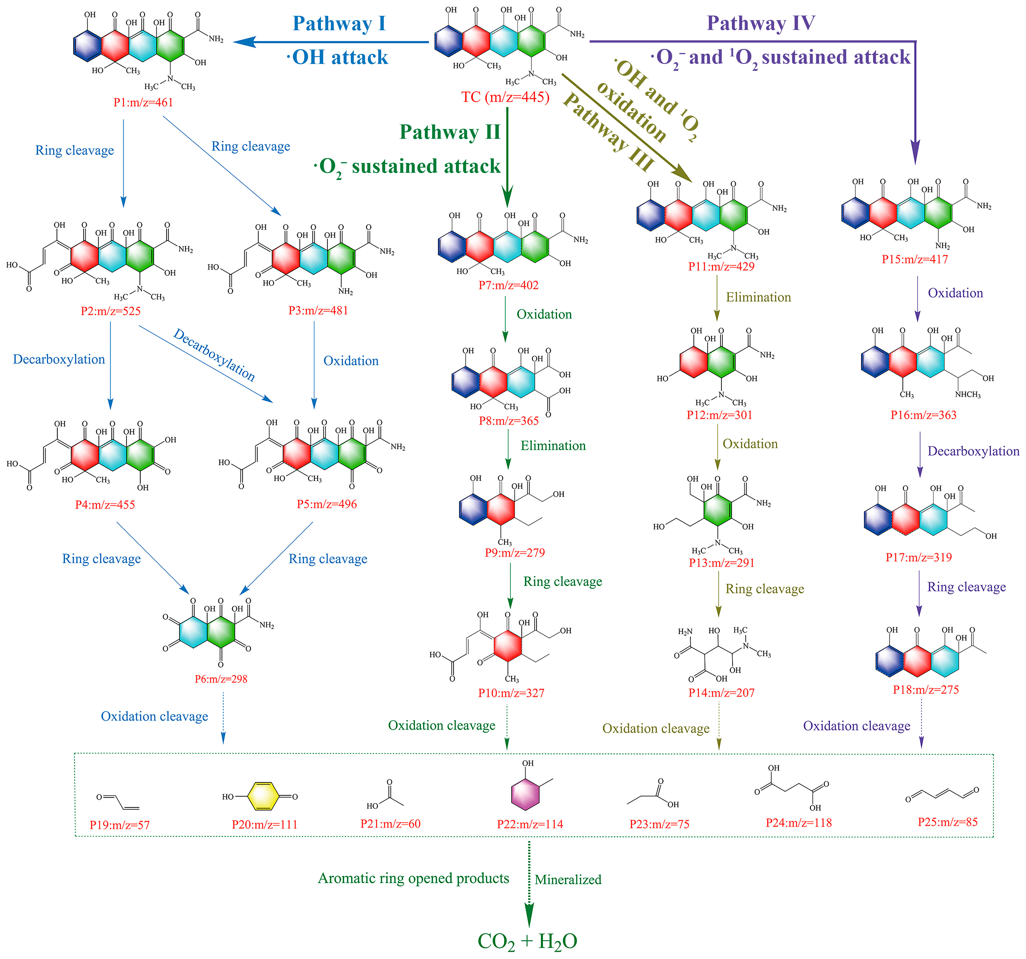 Catalysts 14 00738 g009