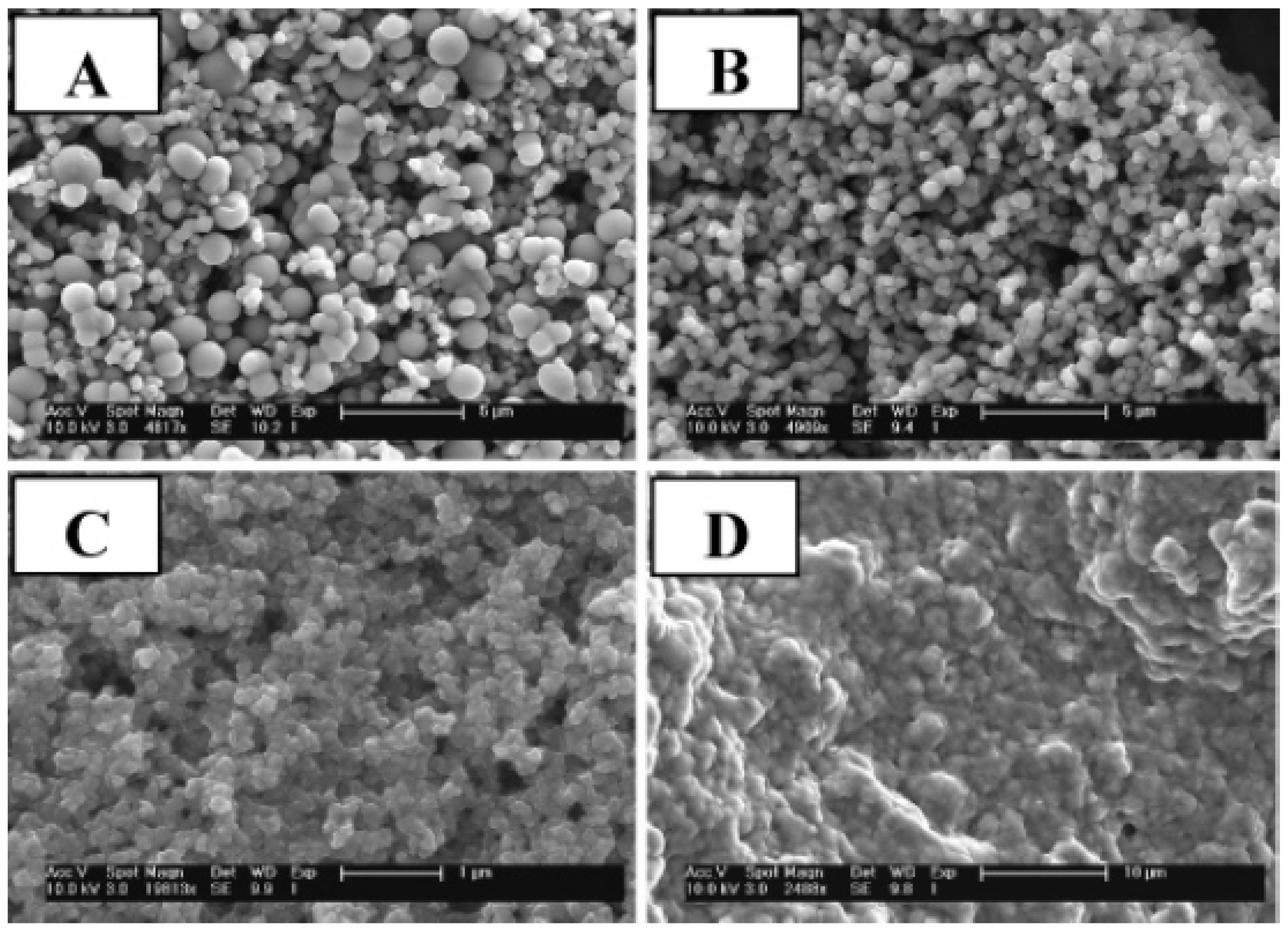 Catalysts 14 00742 g003