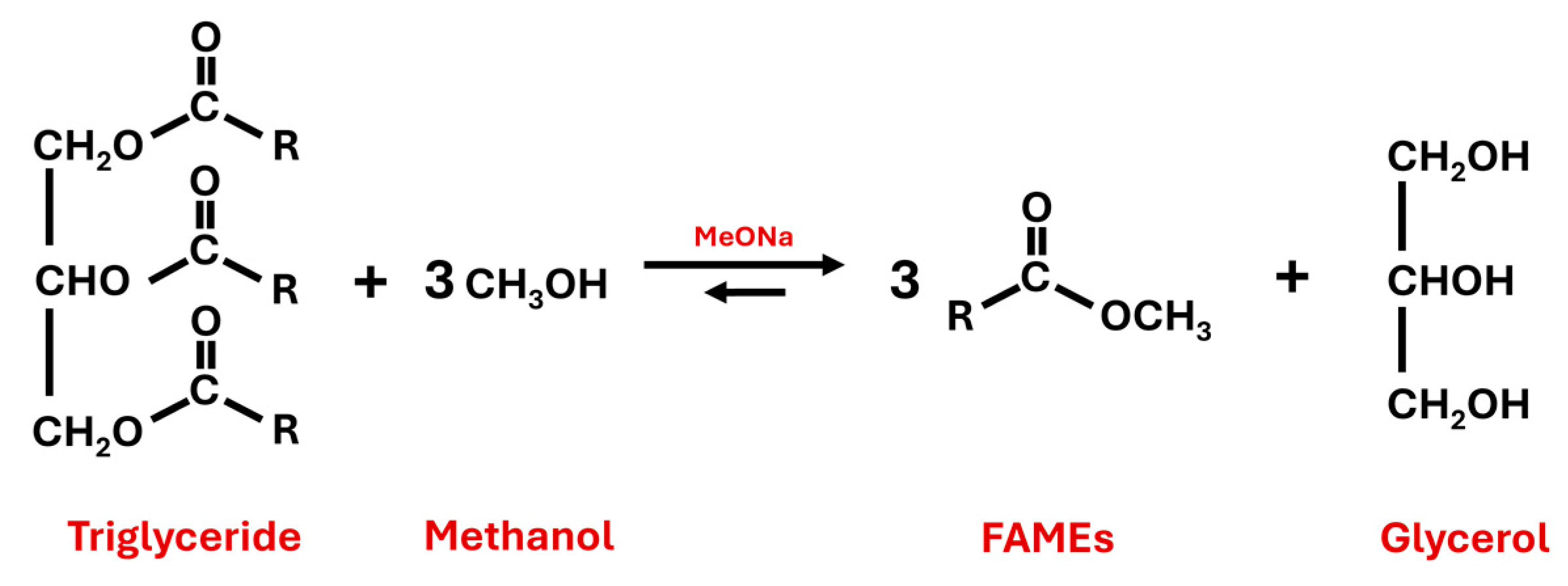 Catalysts 14 00748 g002
