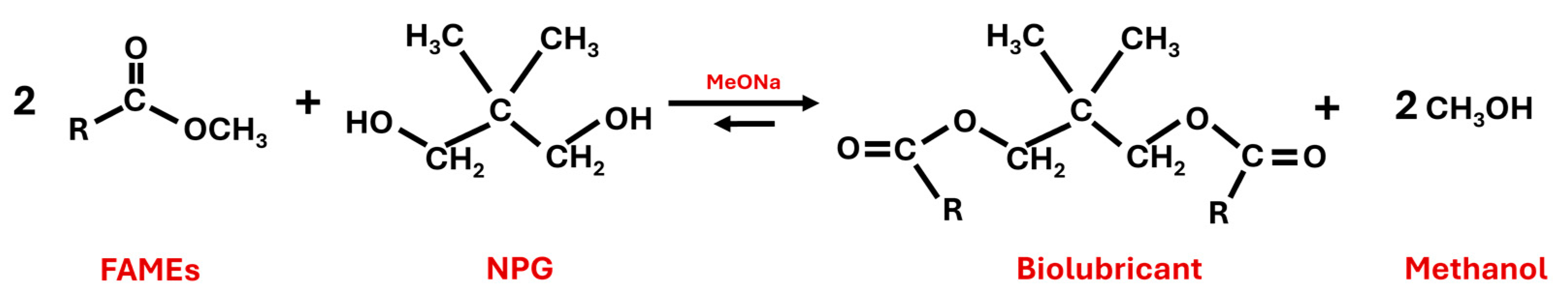 Catalysts 14 00748 g004