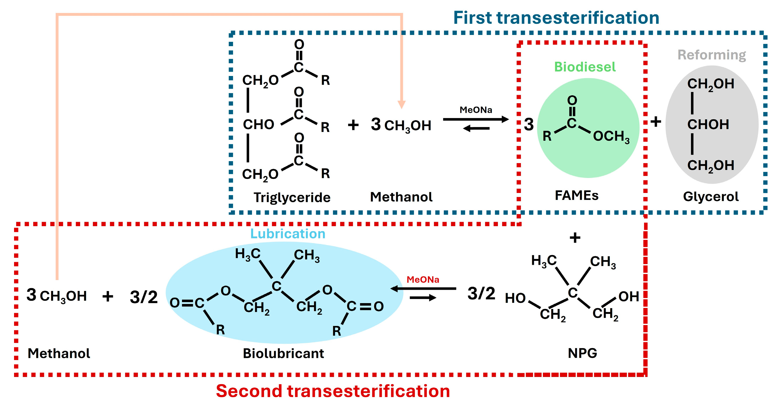 Catalysts 14 00748 g005