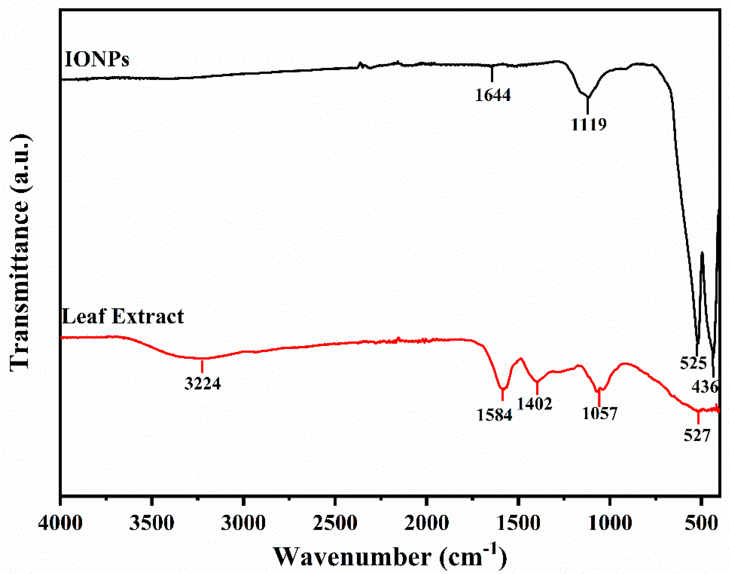 Catalysts 14 00751 g002