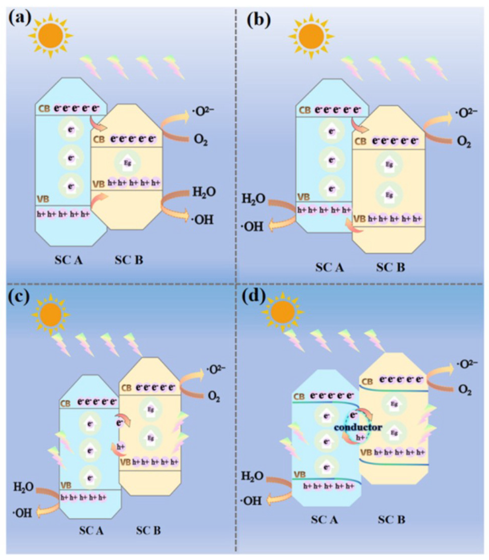 Catalysts 14 00762 g003