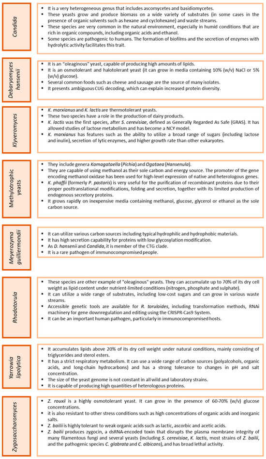 Catalysts 14 00767 g001