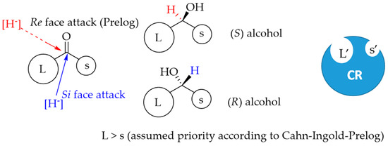 Catalysts 14 00767 g003