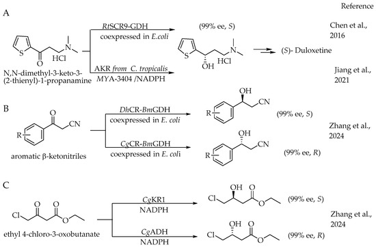 Catalysts 14 00767 sch002