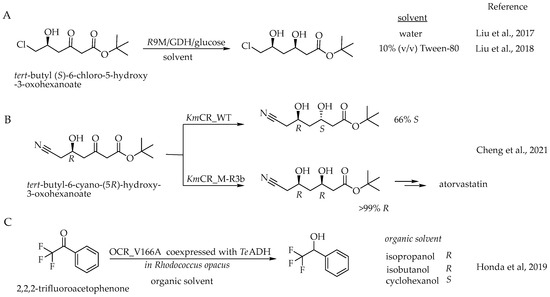 Catalysts 14 00767 sch003