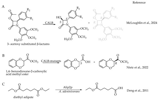 Catalysts 14 00767 sch007