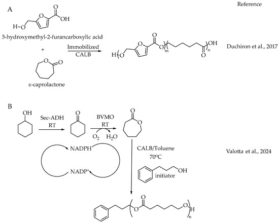 Catalysts 14 00767 sch008