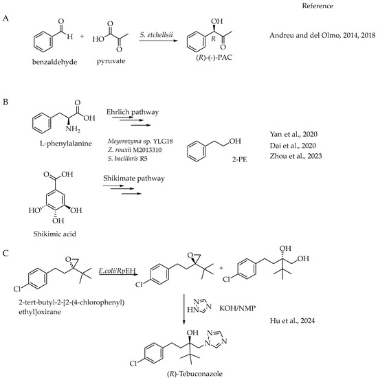 Catalysts 14 00767 sch009