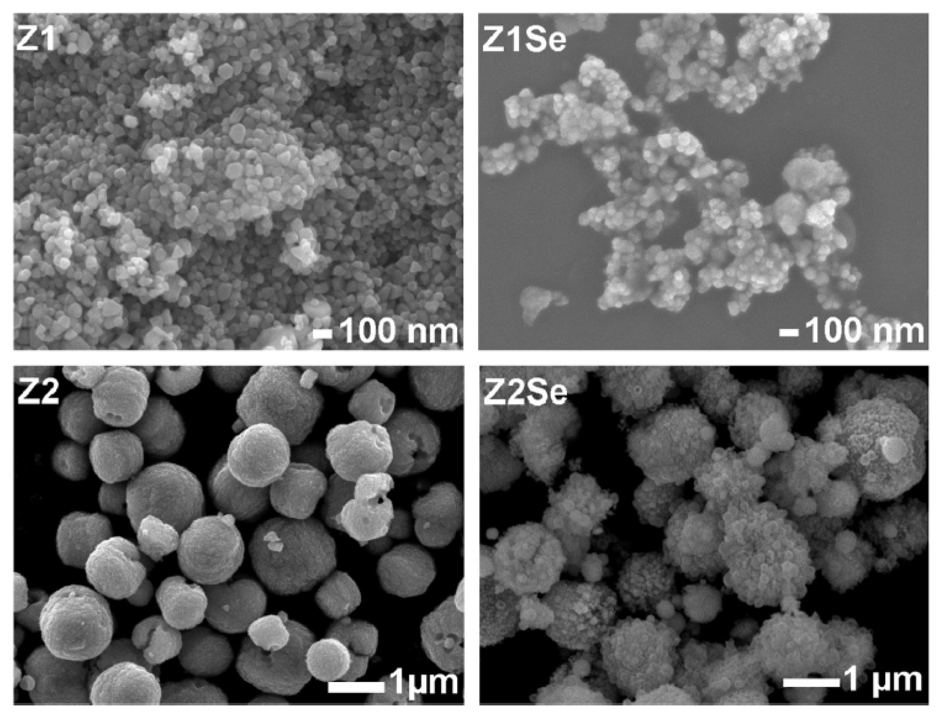 Catalysts 14 00771 g004