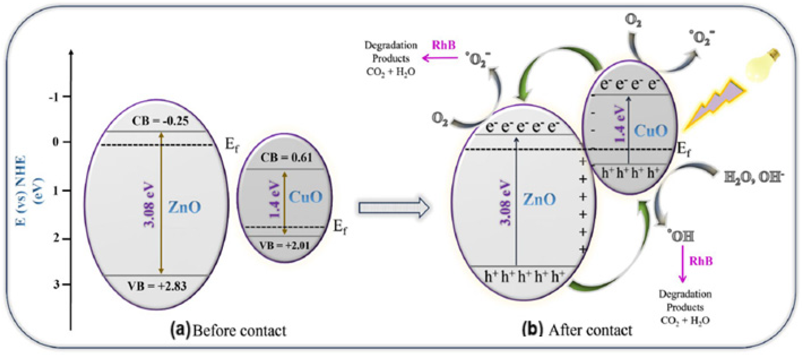 Catalysts 14 00771 g012