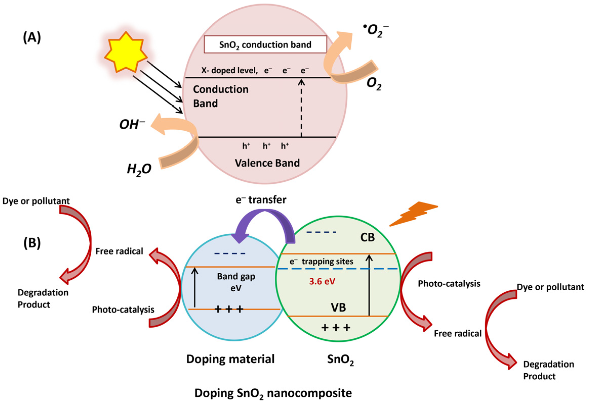 Catalysts 14 00771 g016