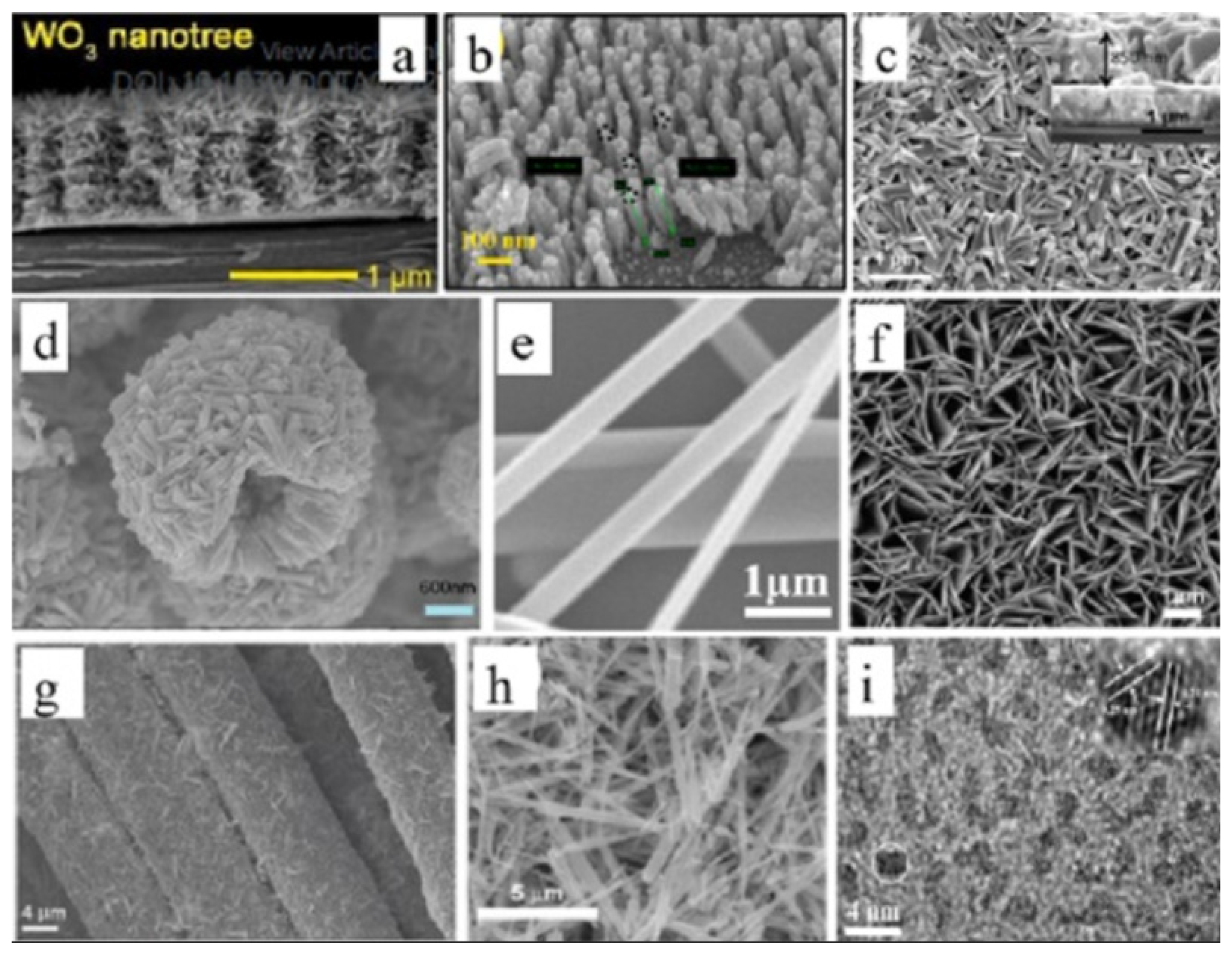 Catalysts 14 00771 g017