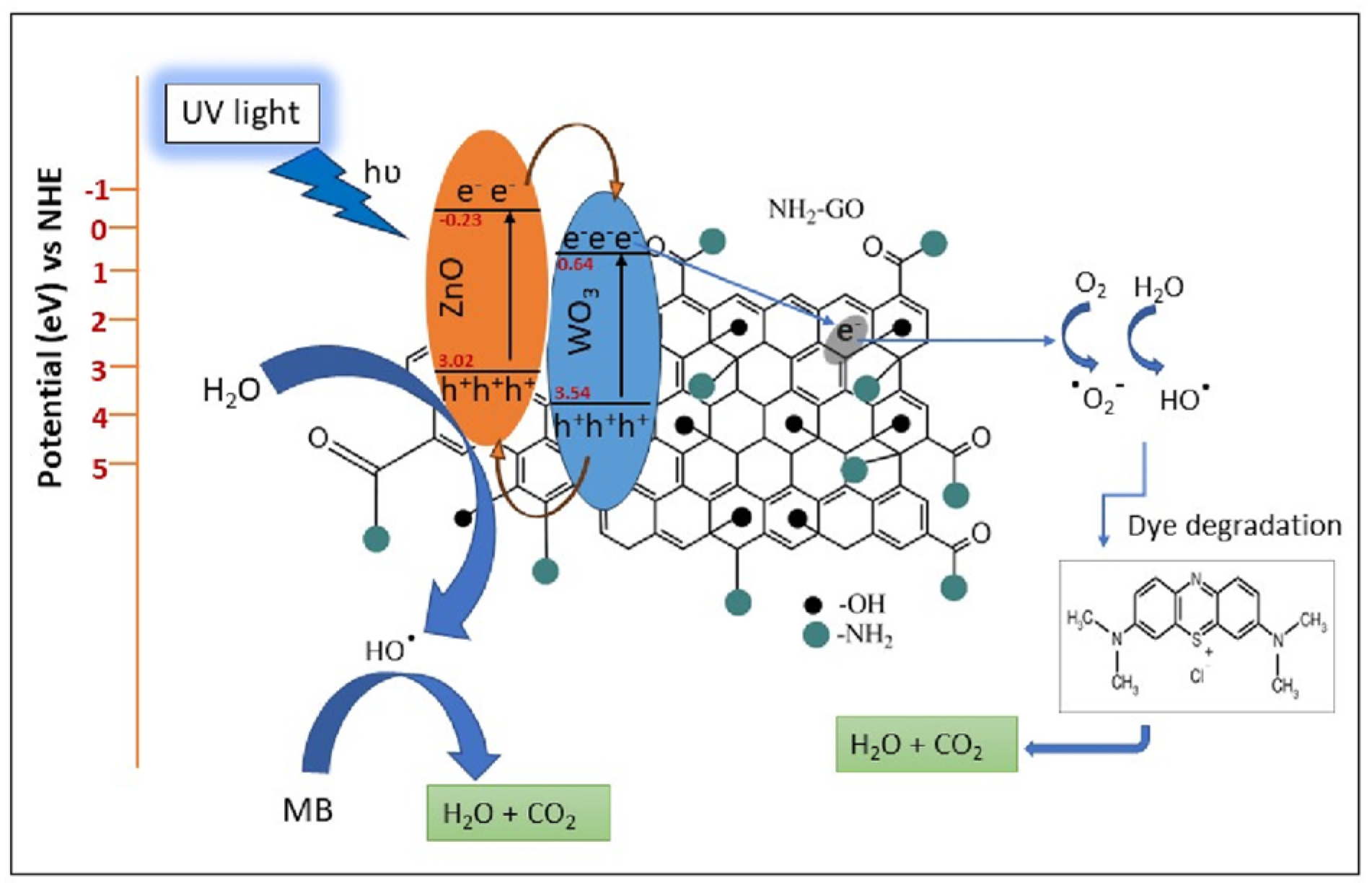 Catalysts 14 00771 g020