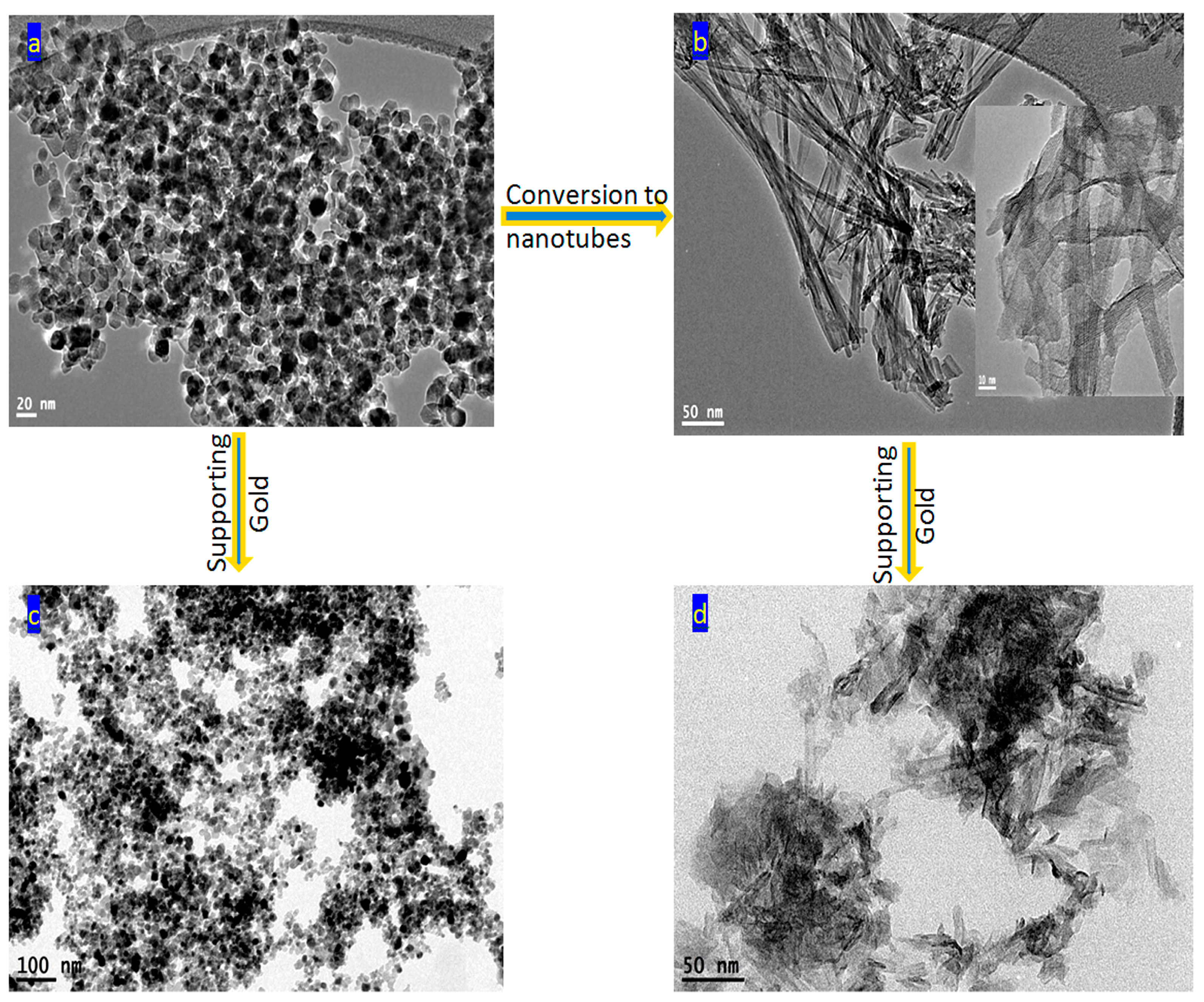 Catalysts 14 00772 g002