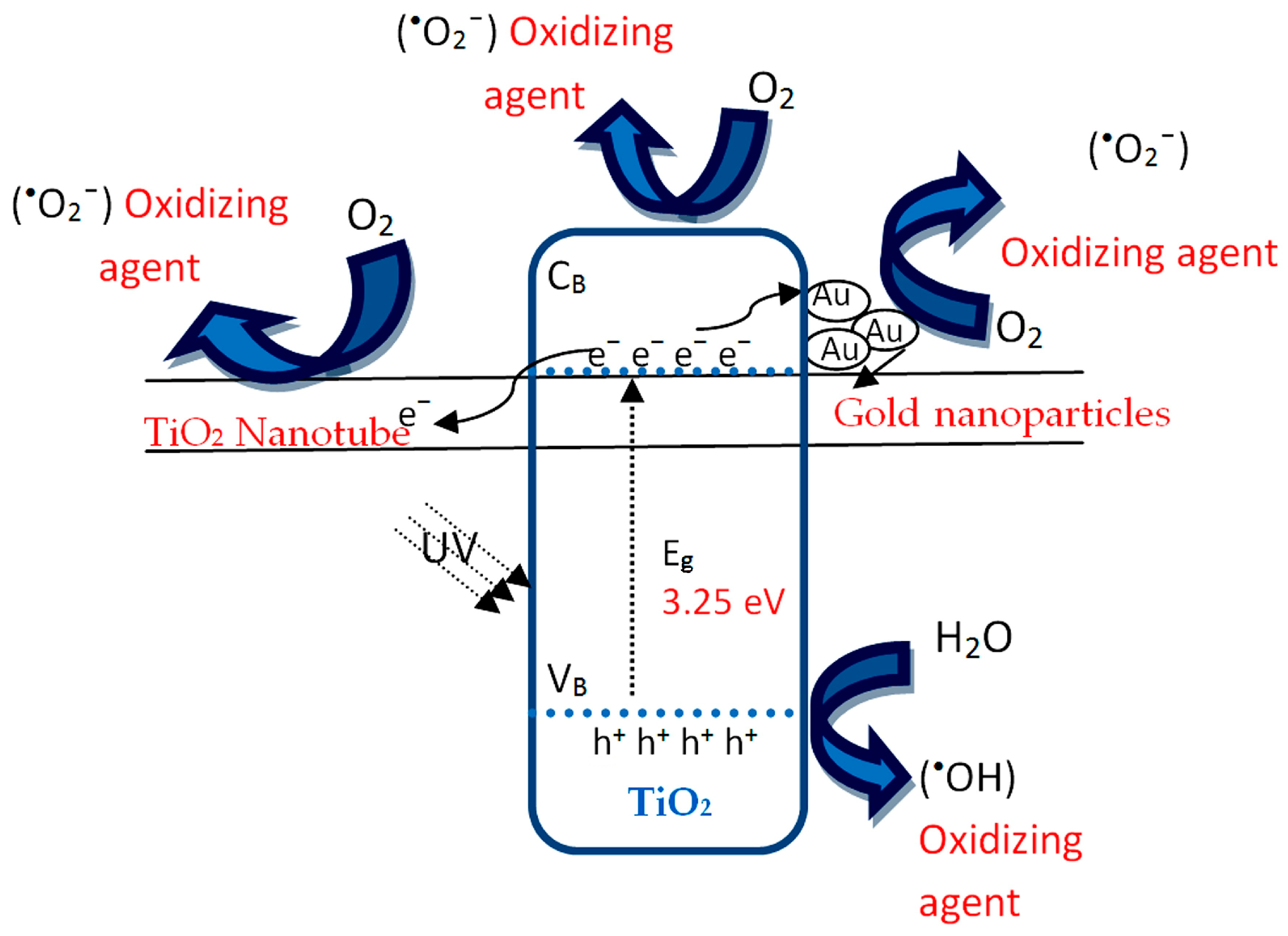 Catalysts 14 00772 g011