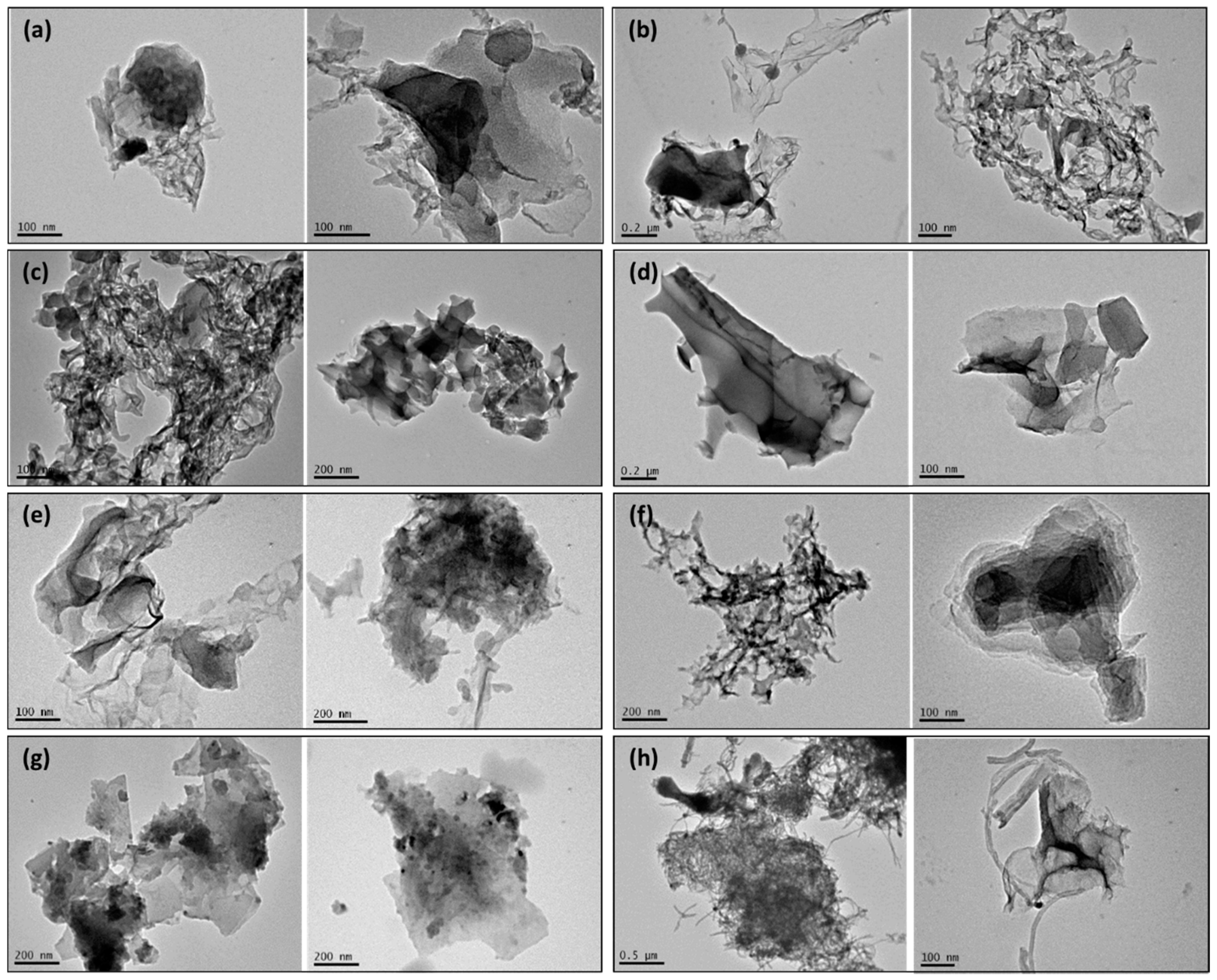 Catalysts 14 00780 g004 Catalysts 14 00780 g004
