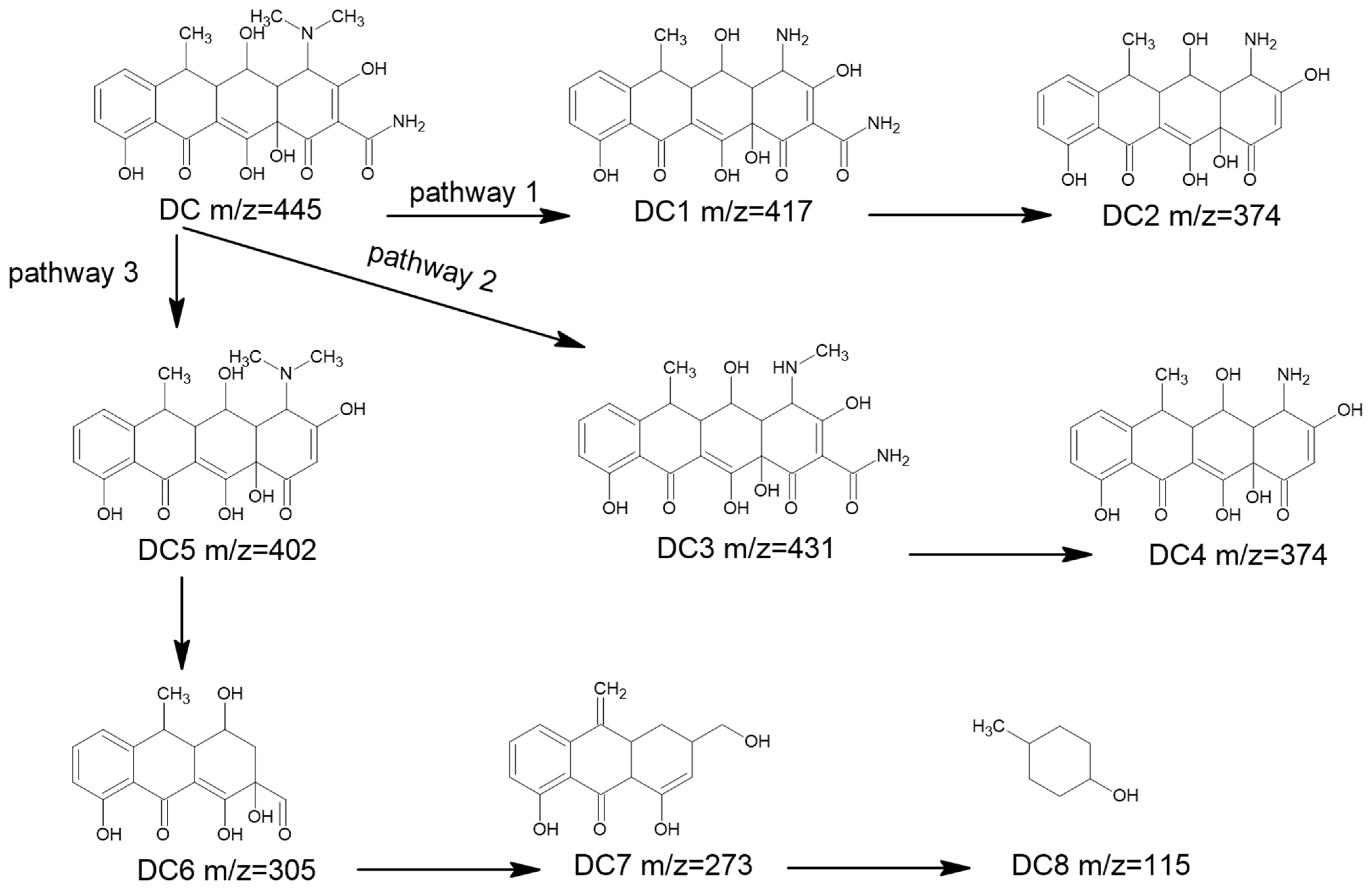 Catalysts 14 00782 g009