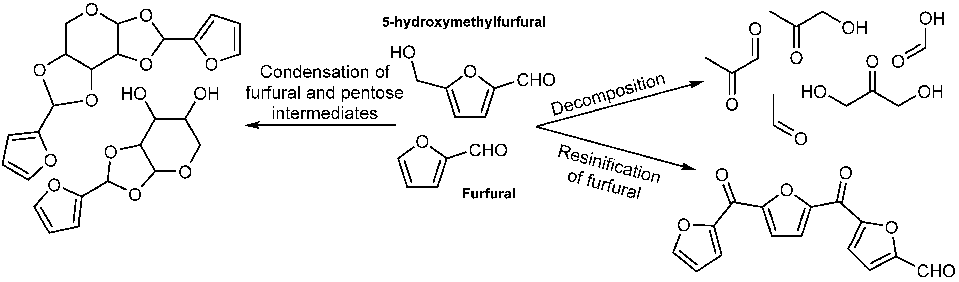 Catalysts 14 00791 sch001
