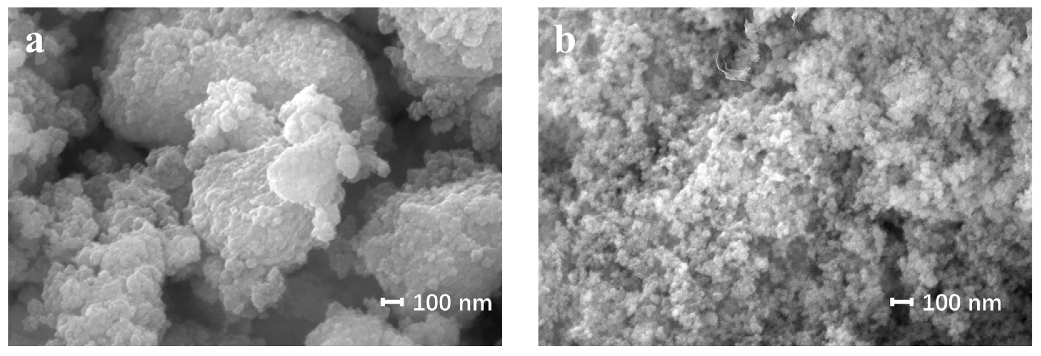 Catalysts 14 00796 g005