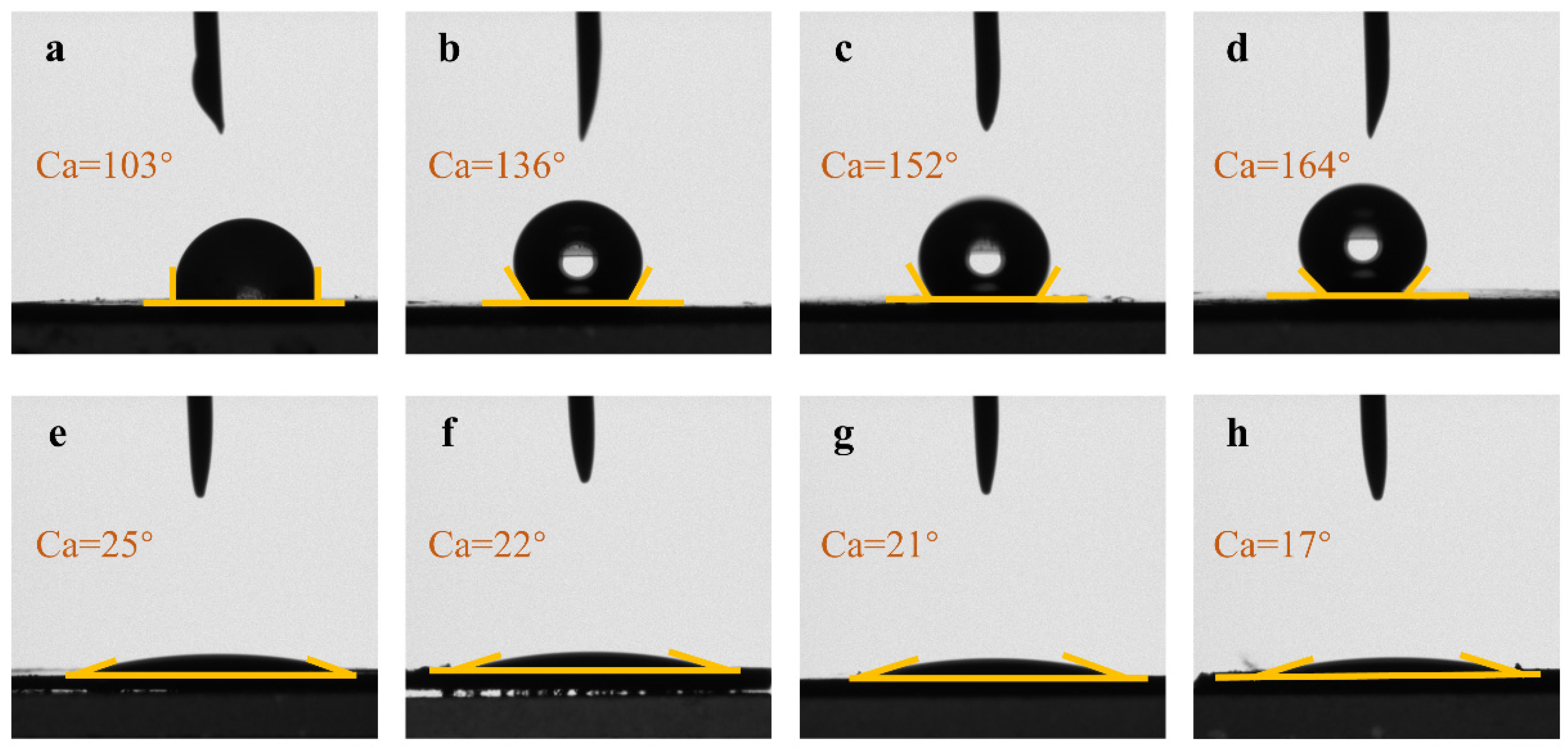 Catalysts 14 00796 g007