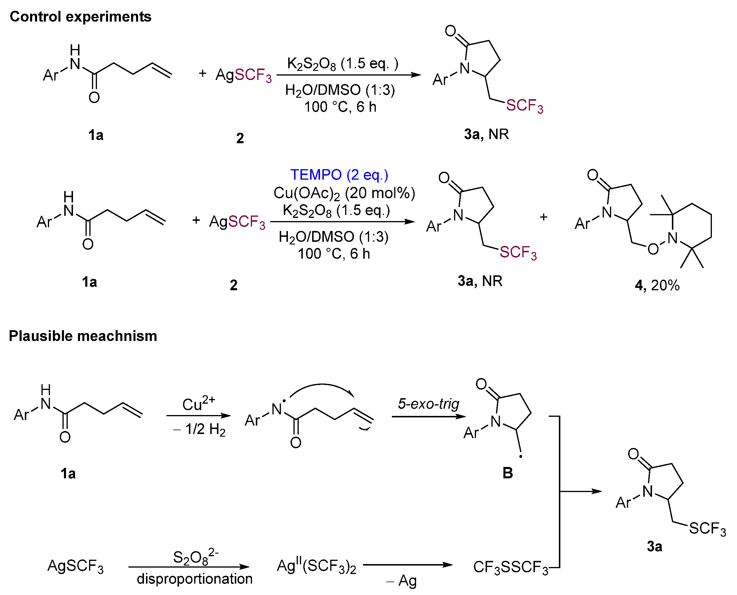 Catalysts 14 00797 sch003