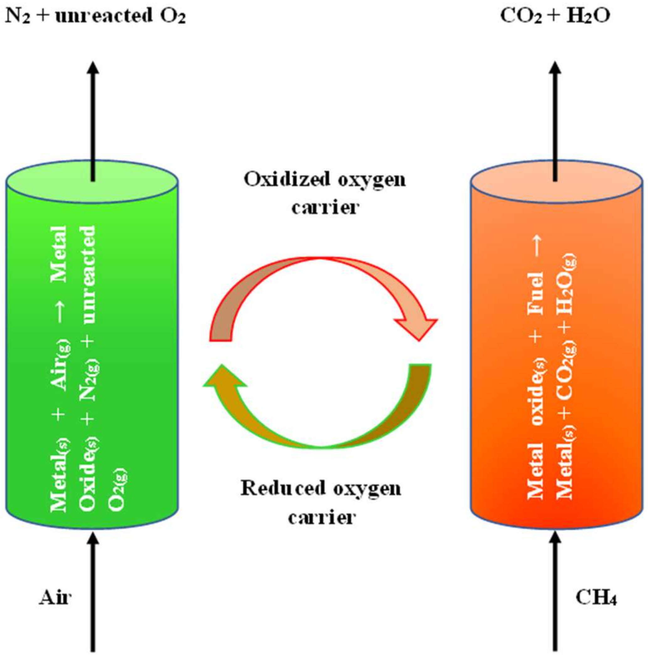 Catalysts 14 00801 g001