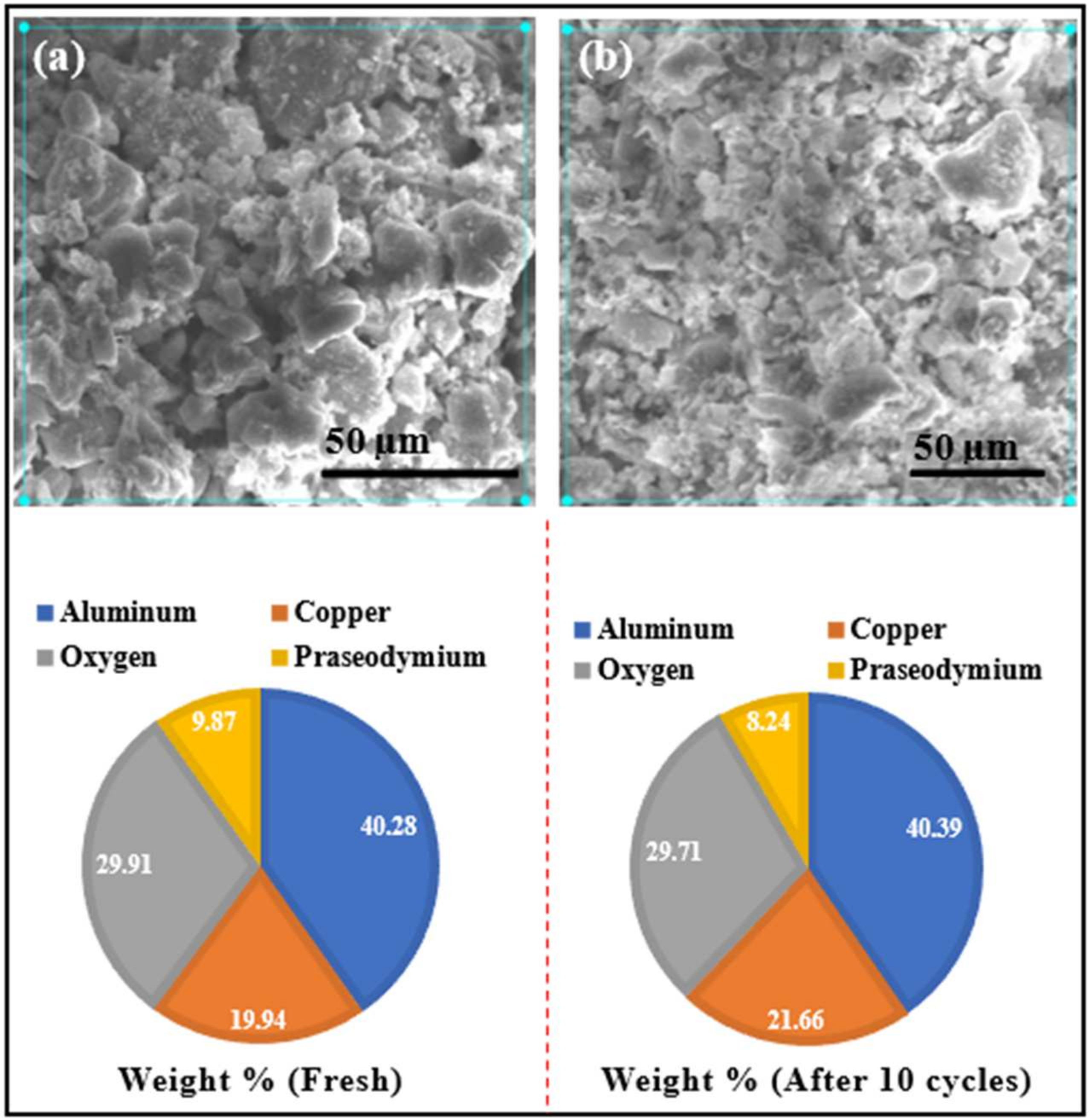 Catalysts 14 00801 g003